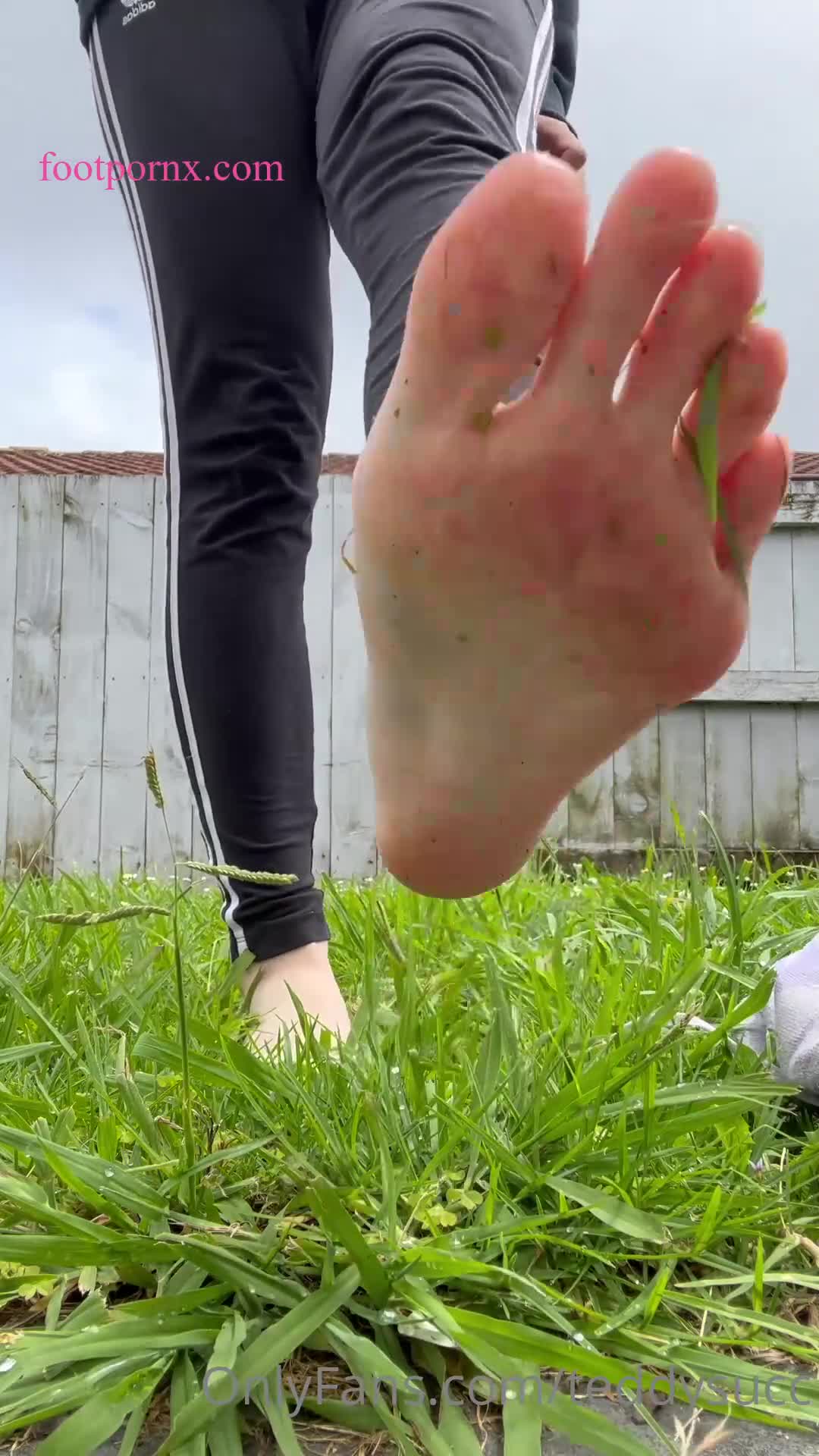 teddysucc  foot porn 3