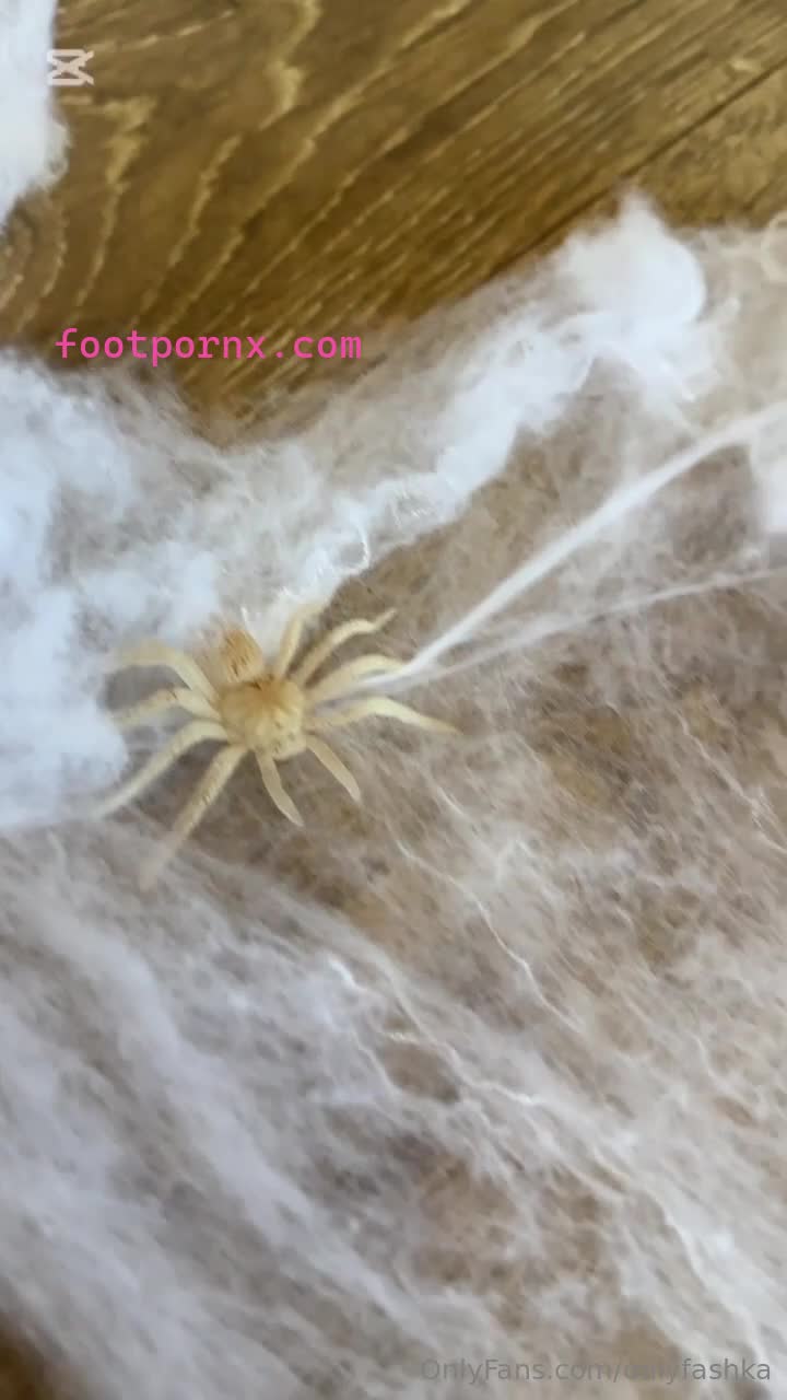 onlyfashka pretty feet white girl toes 1
