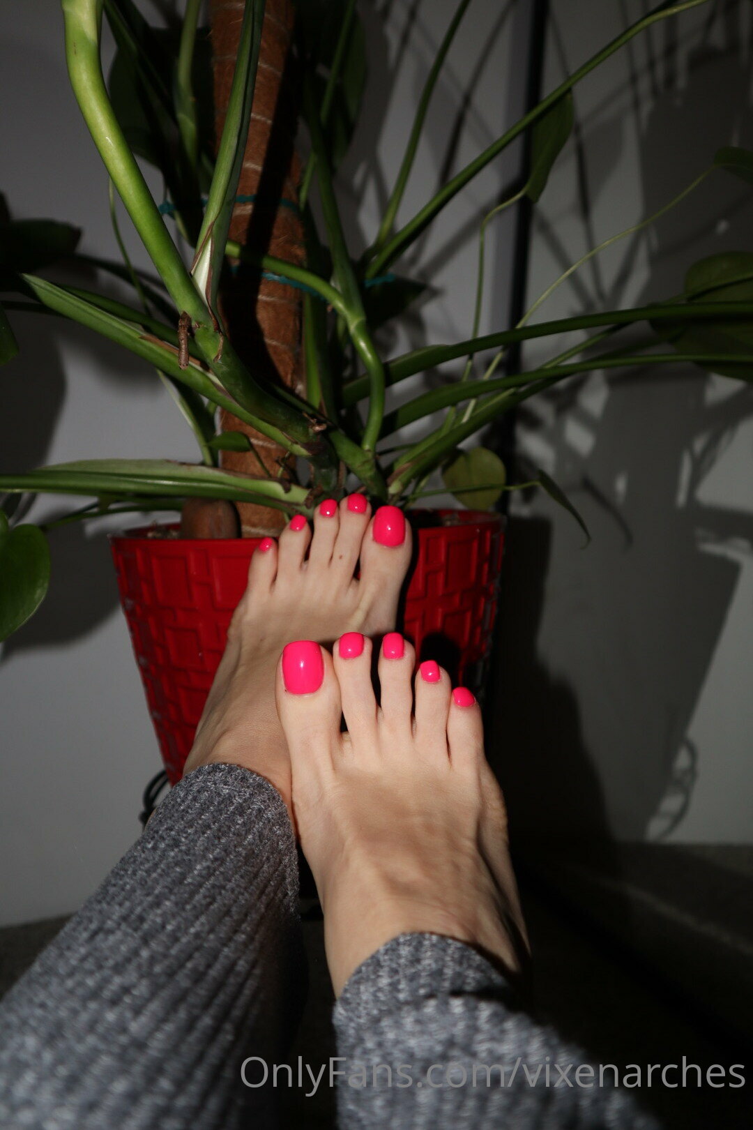 vixenarches feet photo 4