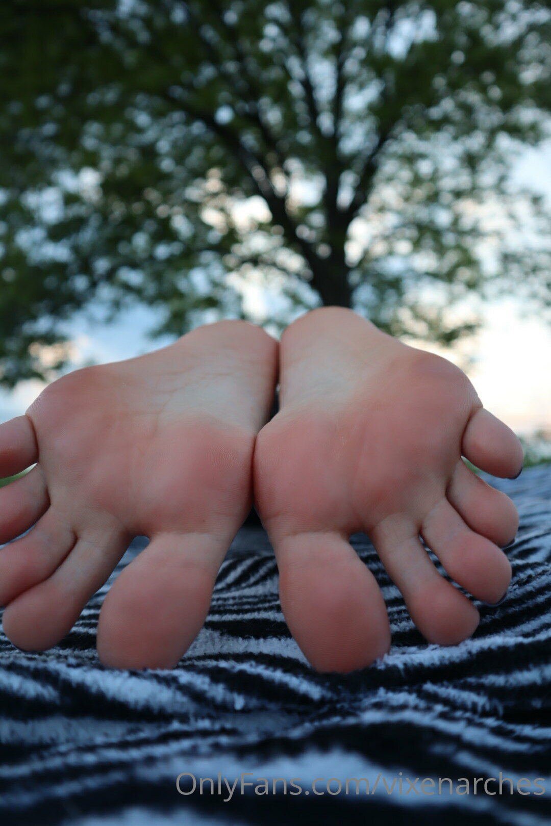 vixenarches feet photo 18