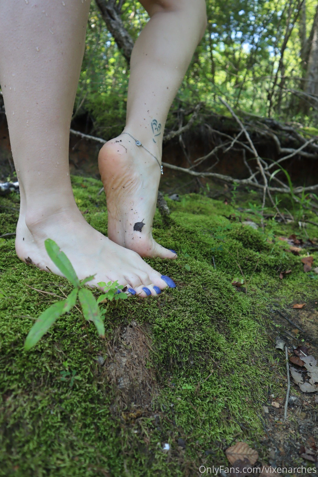 vixenarches feet photo 13