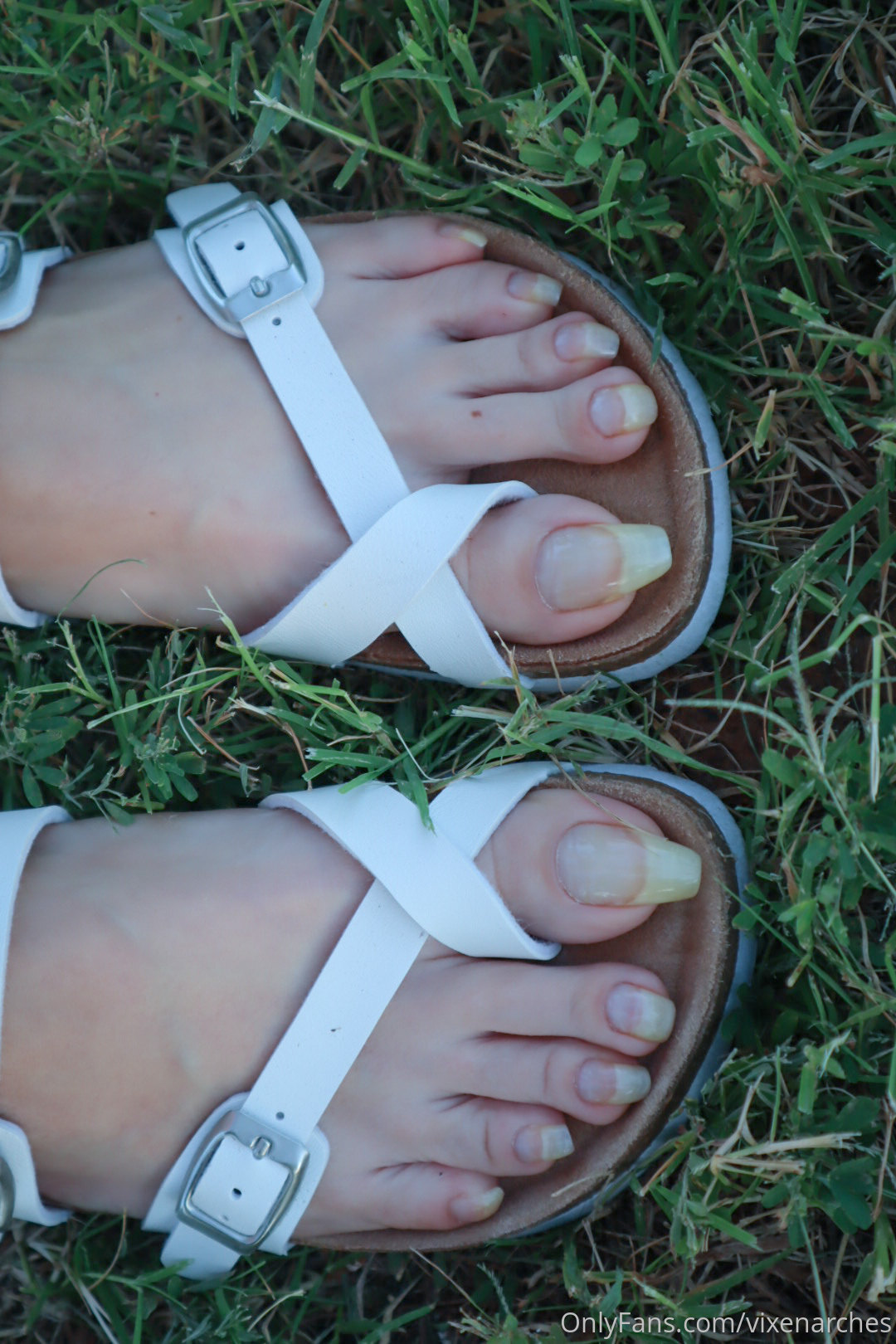 vixenarches feet photo 18