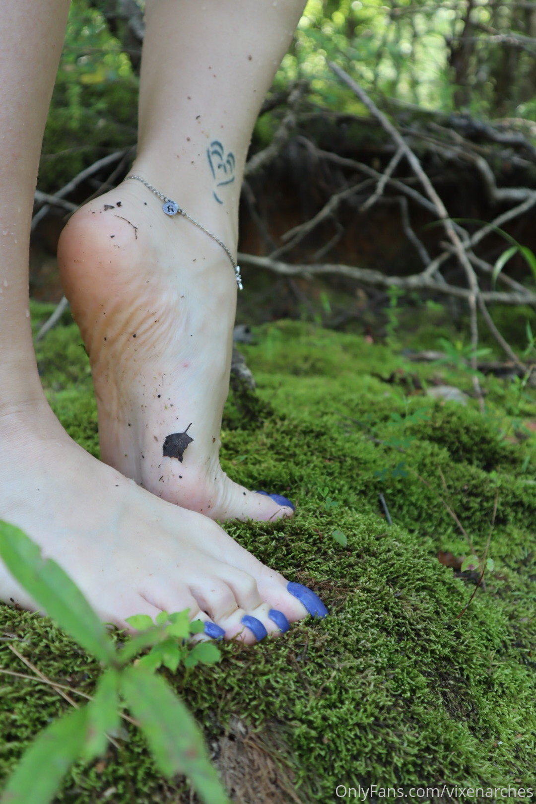 vixenarches feet photo 19