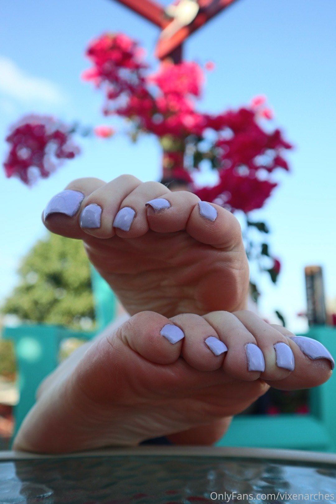 vixenarches feet photo 21