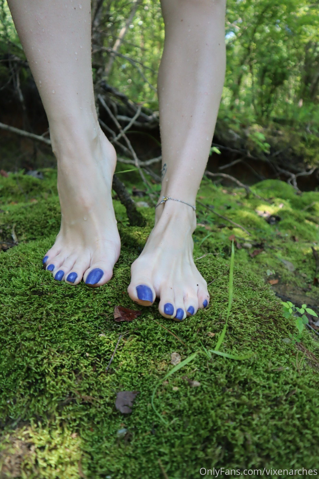vixenarches feet photo 17
