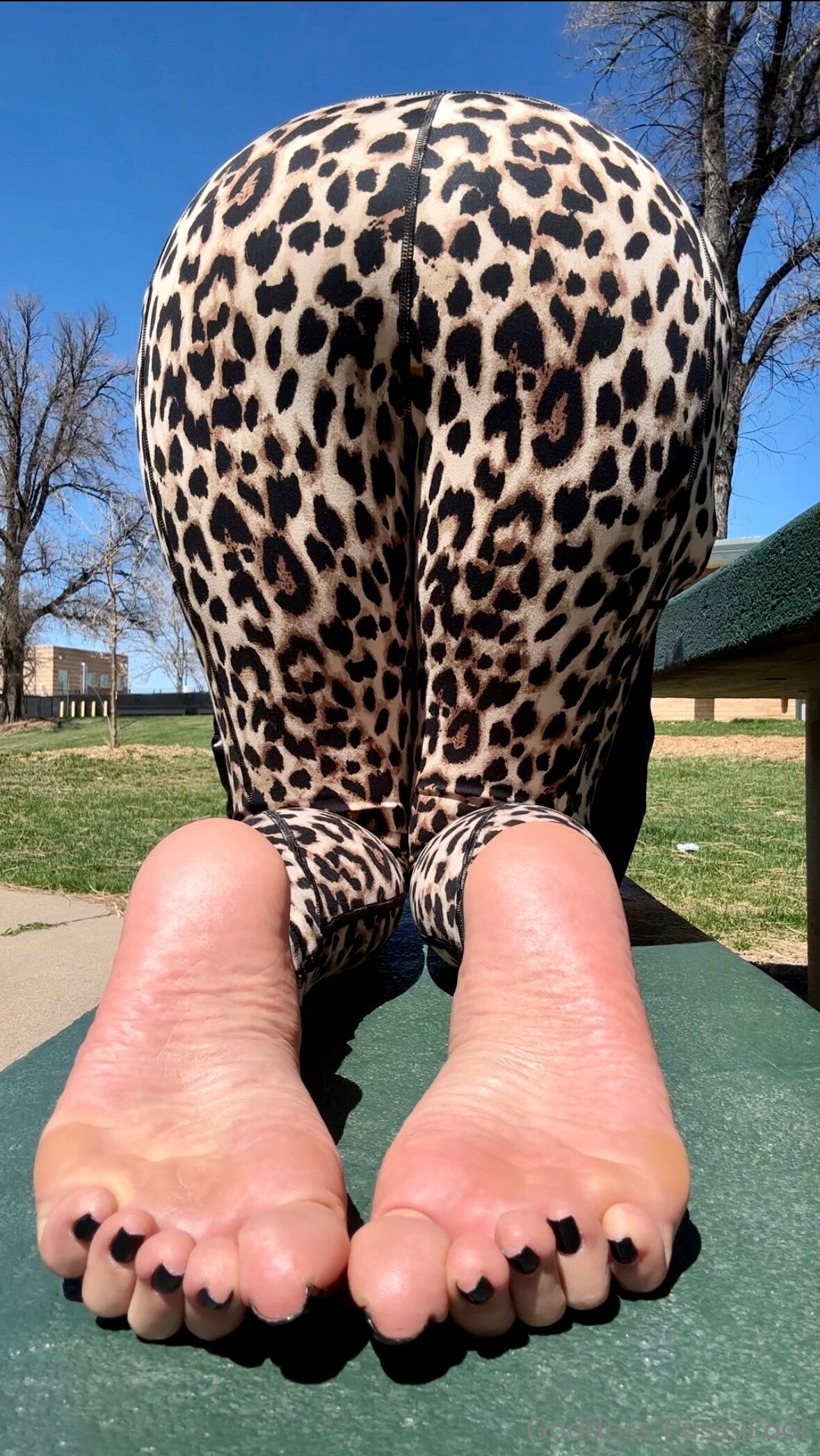 pussyfoot feet photo 5