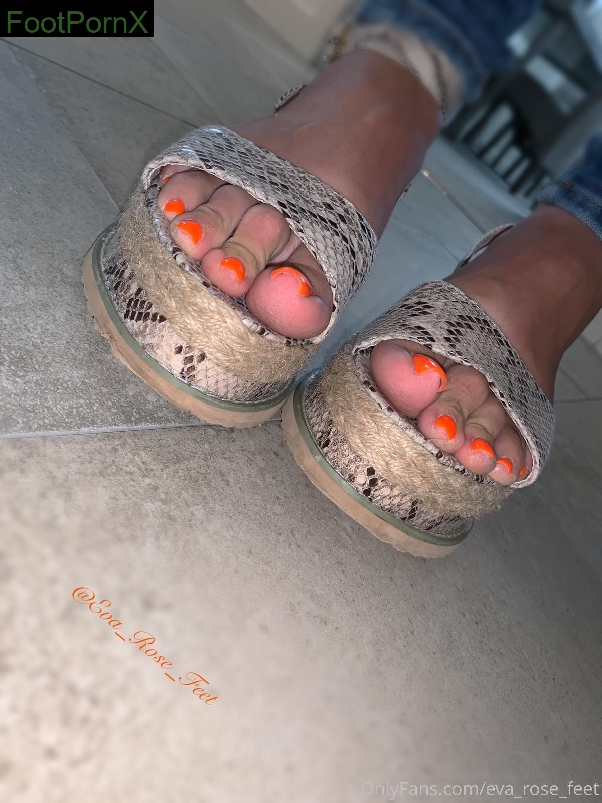 eva_rose_feet feet photo 17