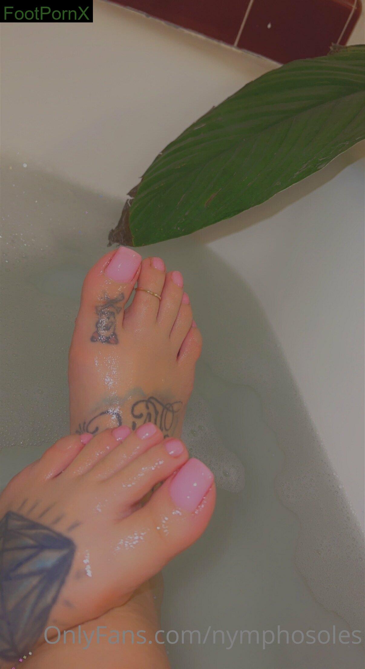 nymphosoles feet photo 16