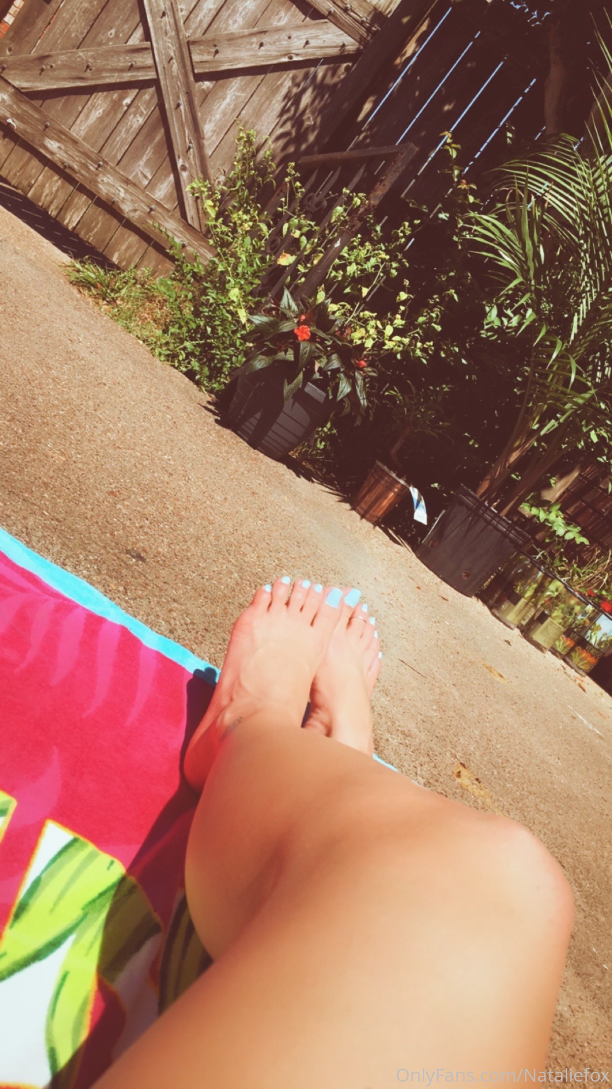 nataliefox feet photo 18