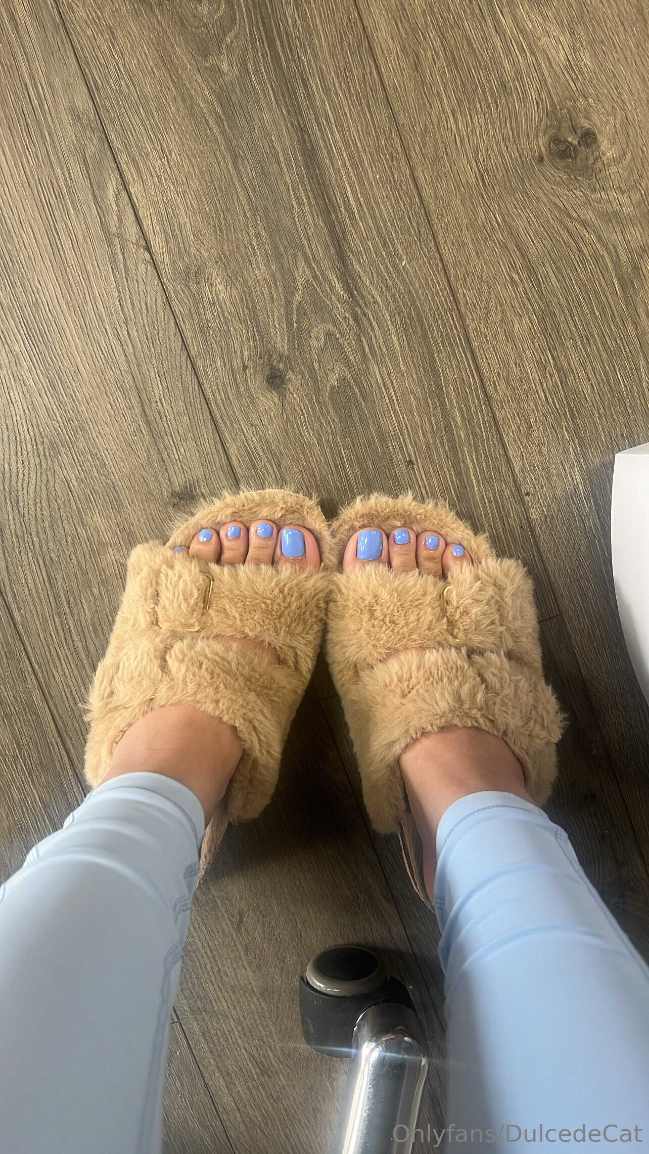 dulcedecat feet photo 22