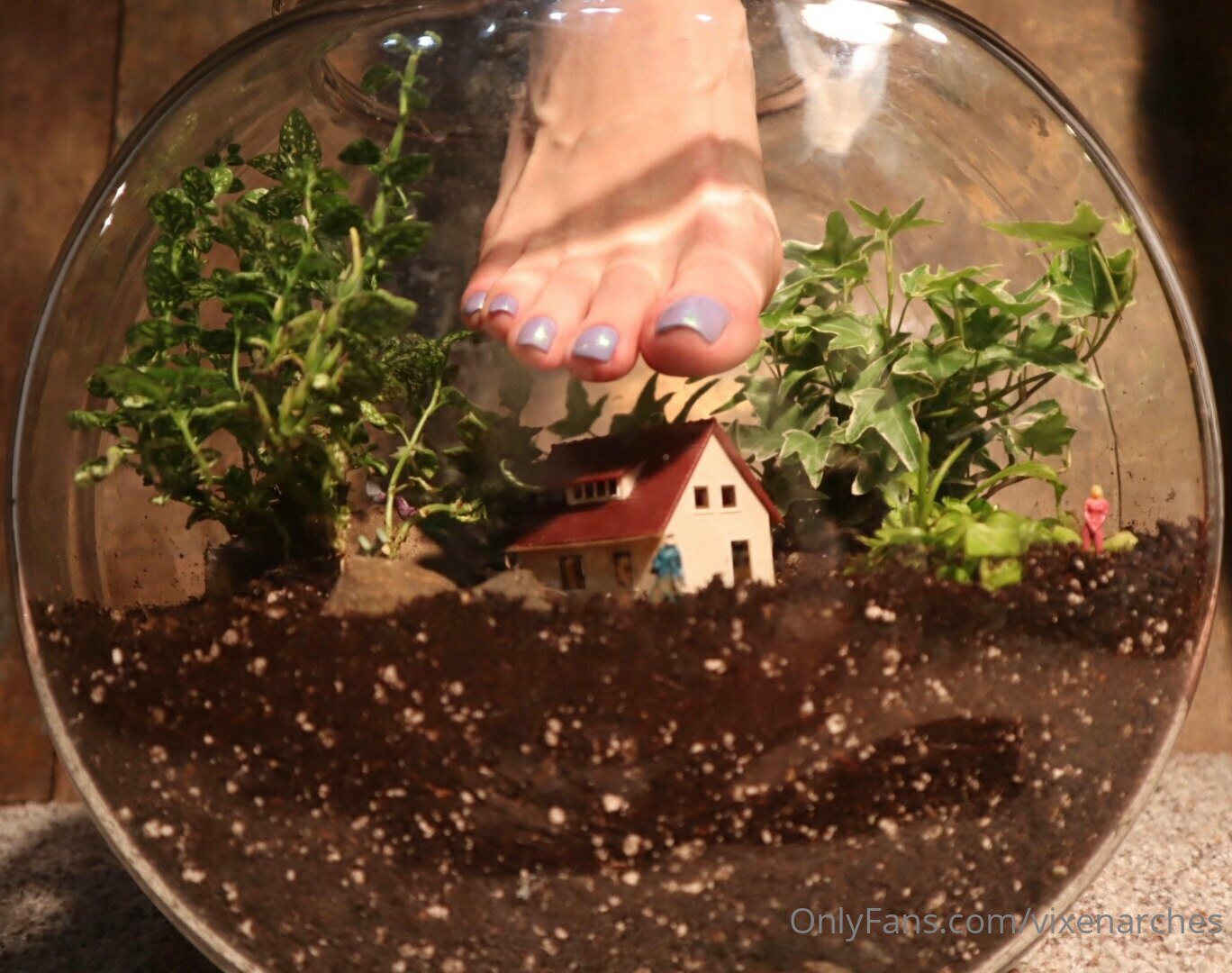 vixenarches feet photo 21