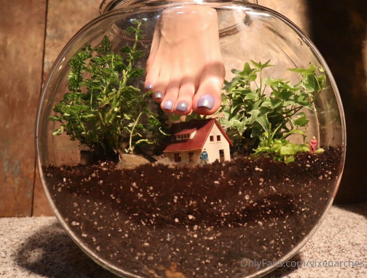 vixenarches feet photo 18