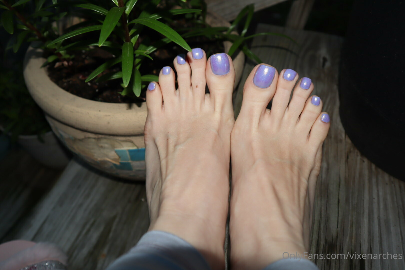 vixenarches feet photo 23