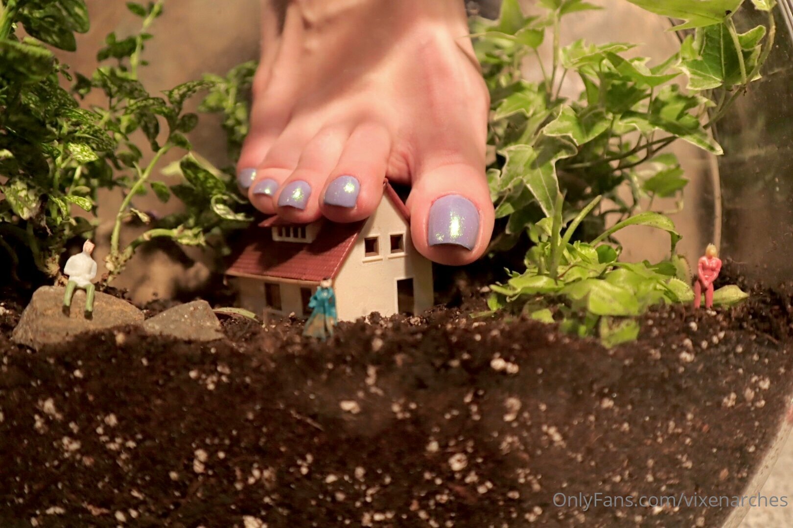 vixenarches feet photo 1