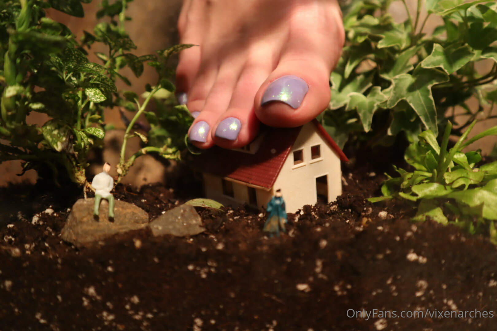 vixenarches feet photo 17