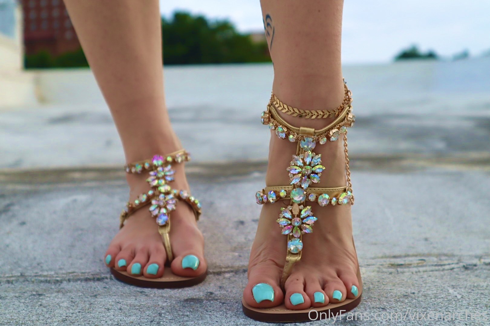 vixenarches feet photo 4