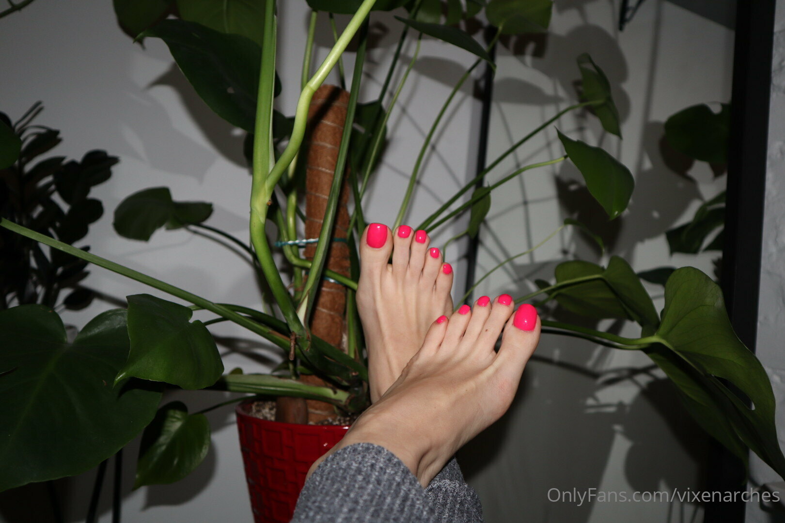 vixenarches feet photo 10