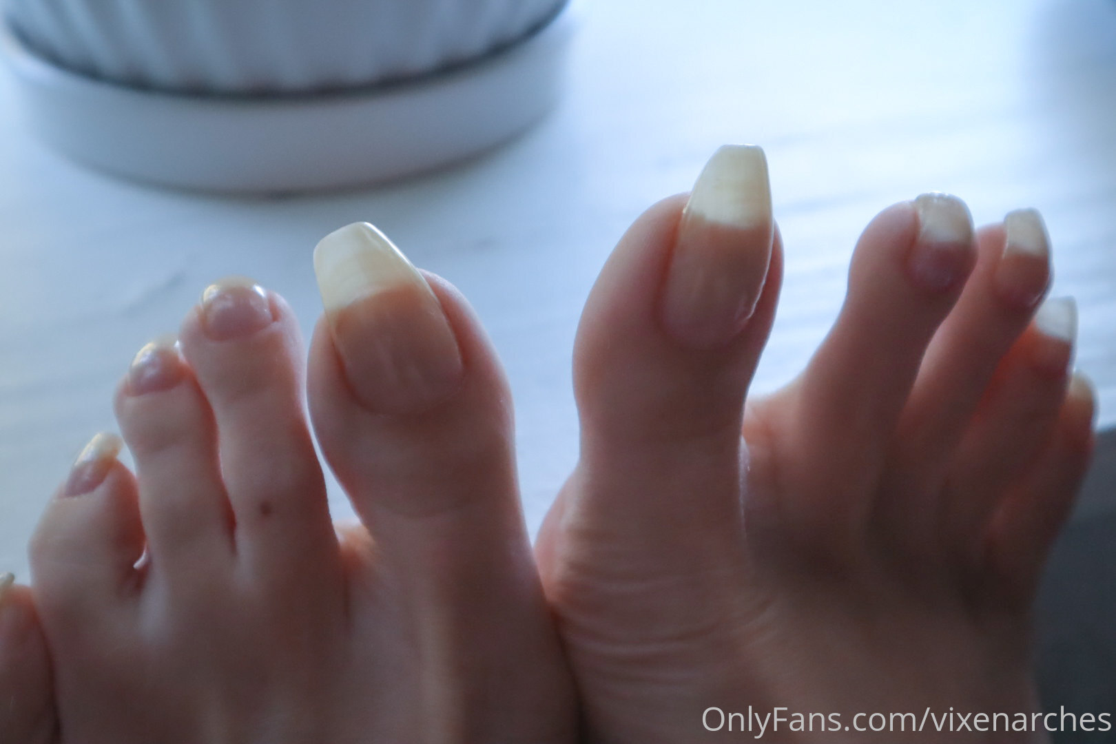 vixenarches feet photo 6