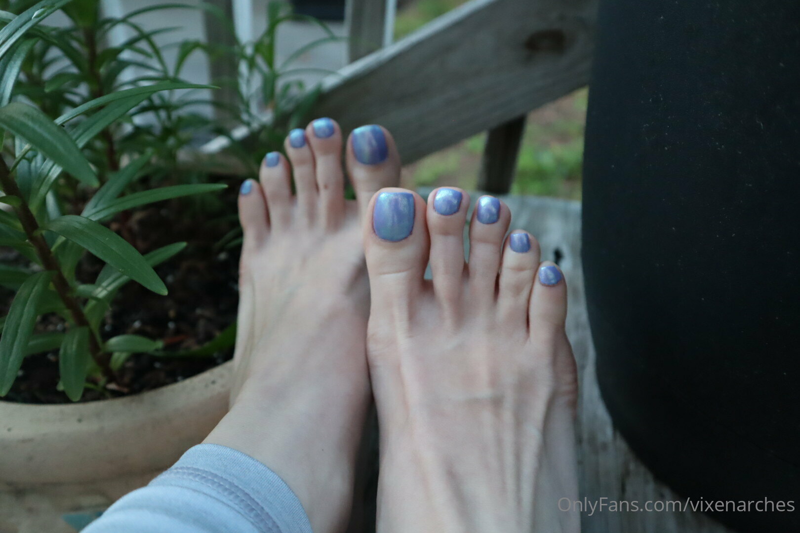 vixenarches feet photo 8