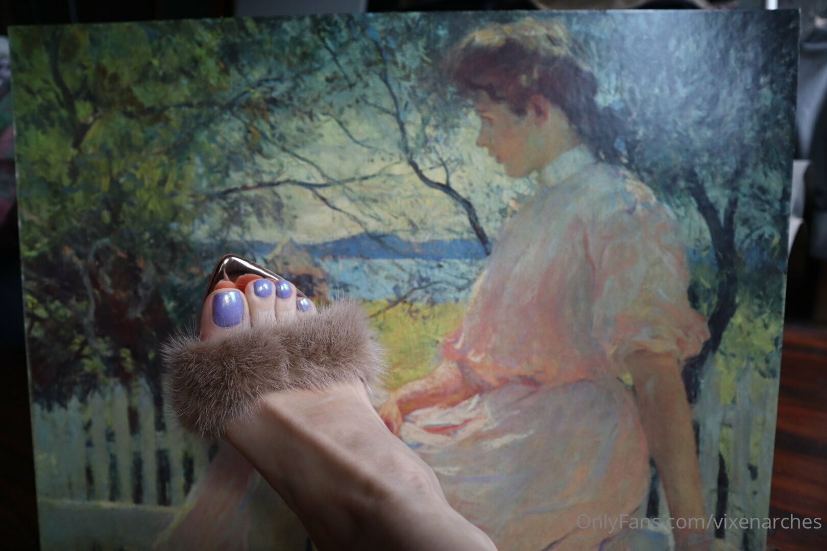 vixenarches feet photo 18