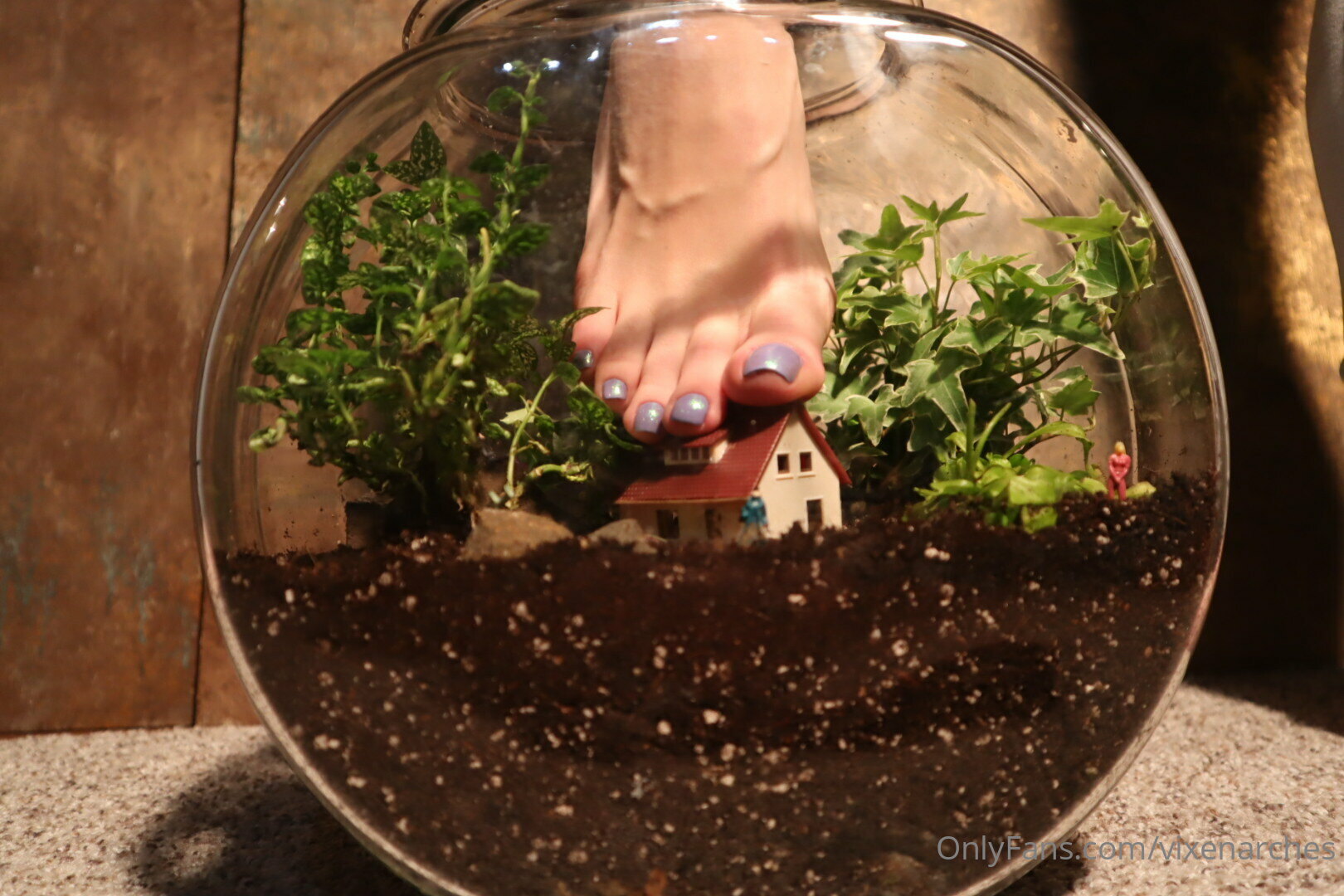 vixenarches feet photo 19