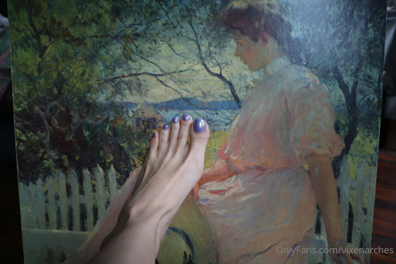 vixenarches feet photo 19