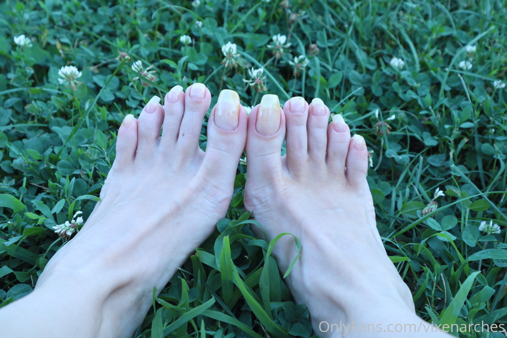 vixenarches feet photo 10