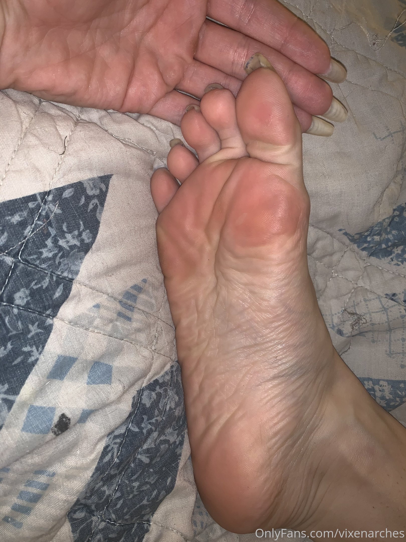 vixenarches feet photo 10