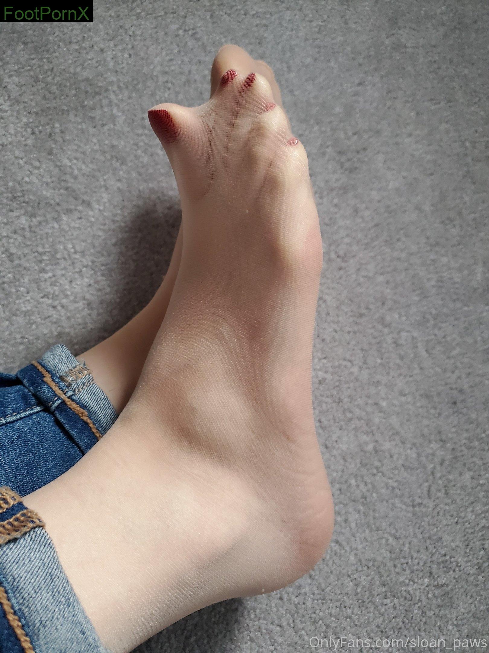 sloan_paws feet photo 12