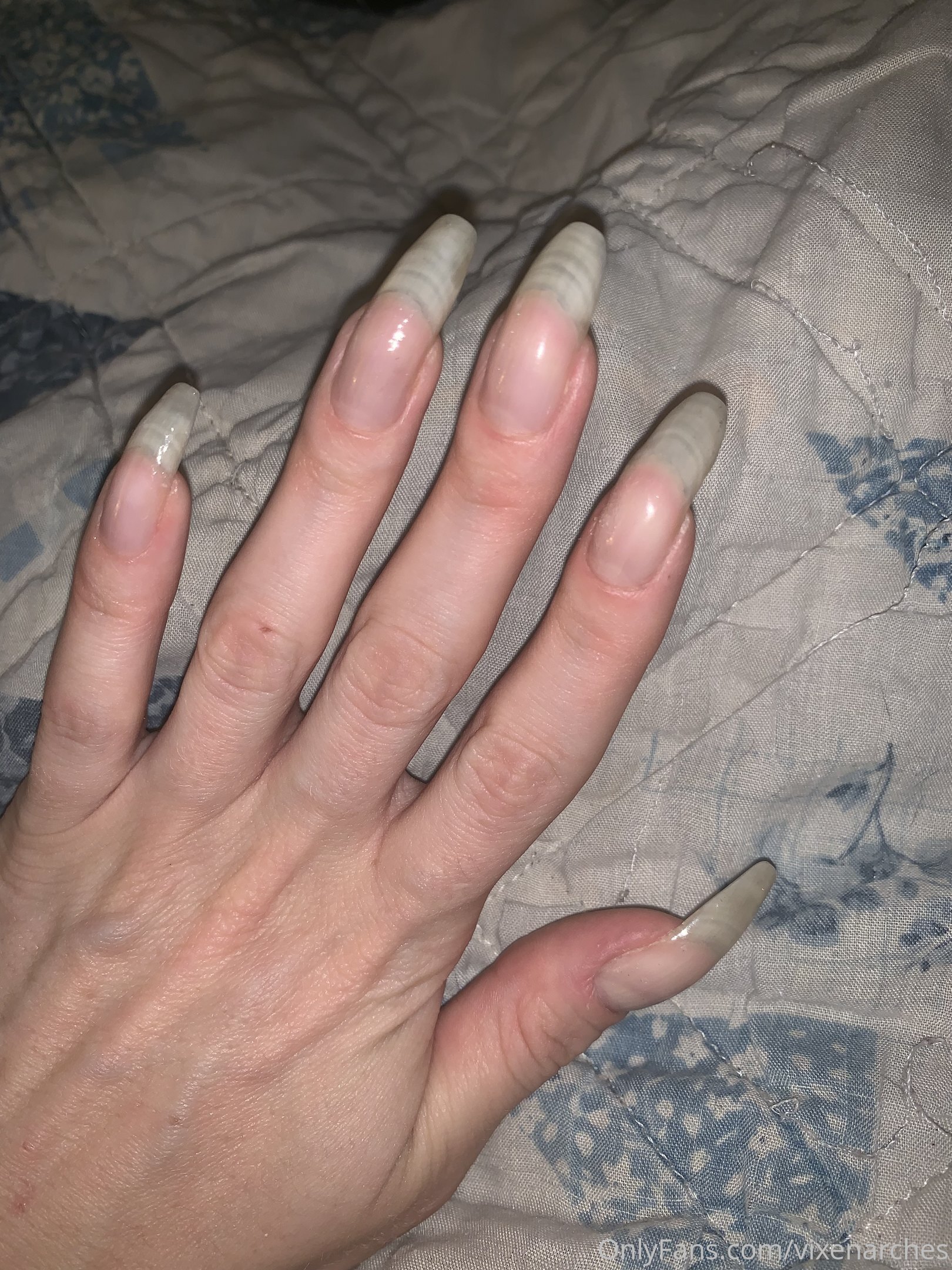 vixenarches feet photo 19