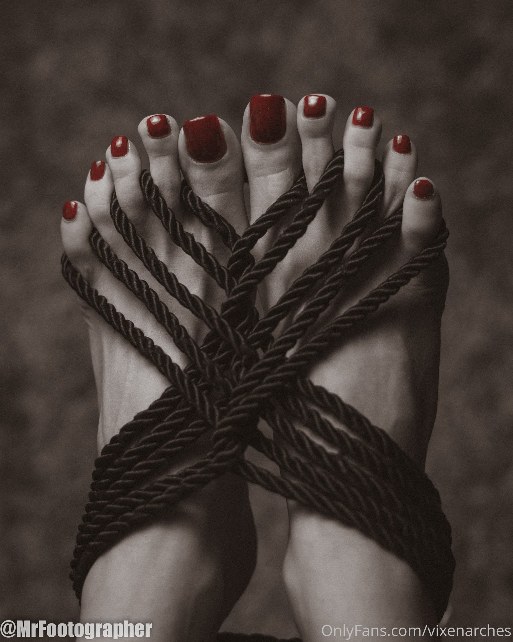 vixenarches feet photo 8