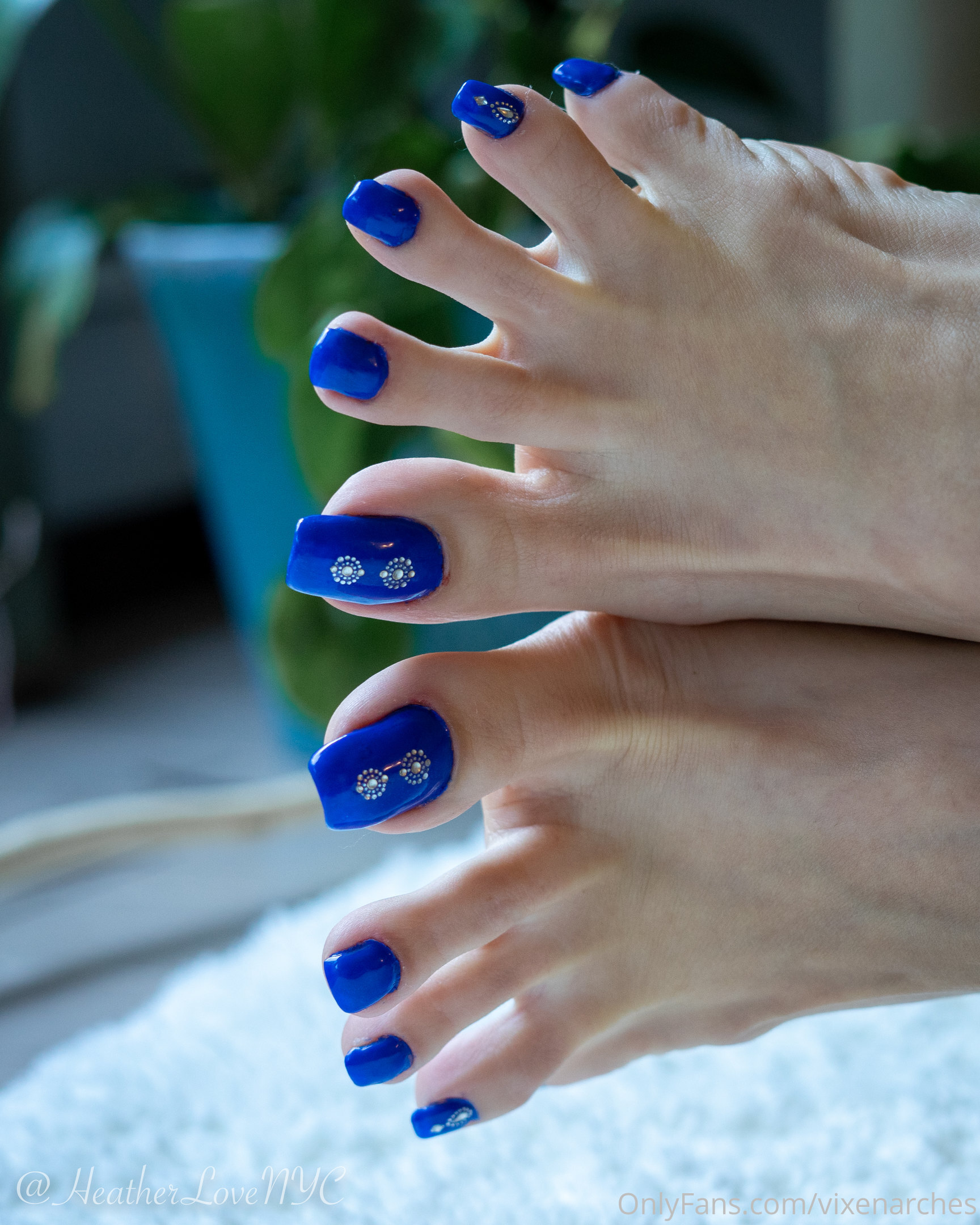 vixenarches feet photo 11