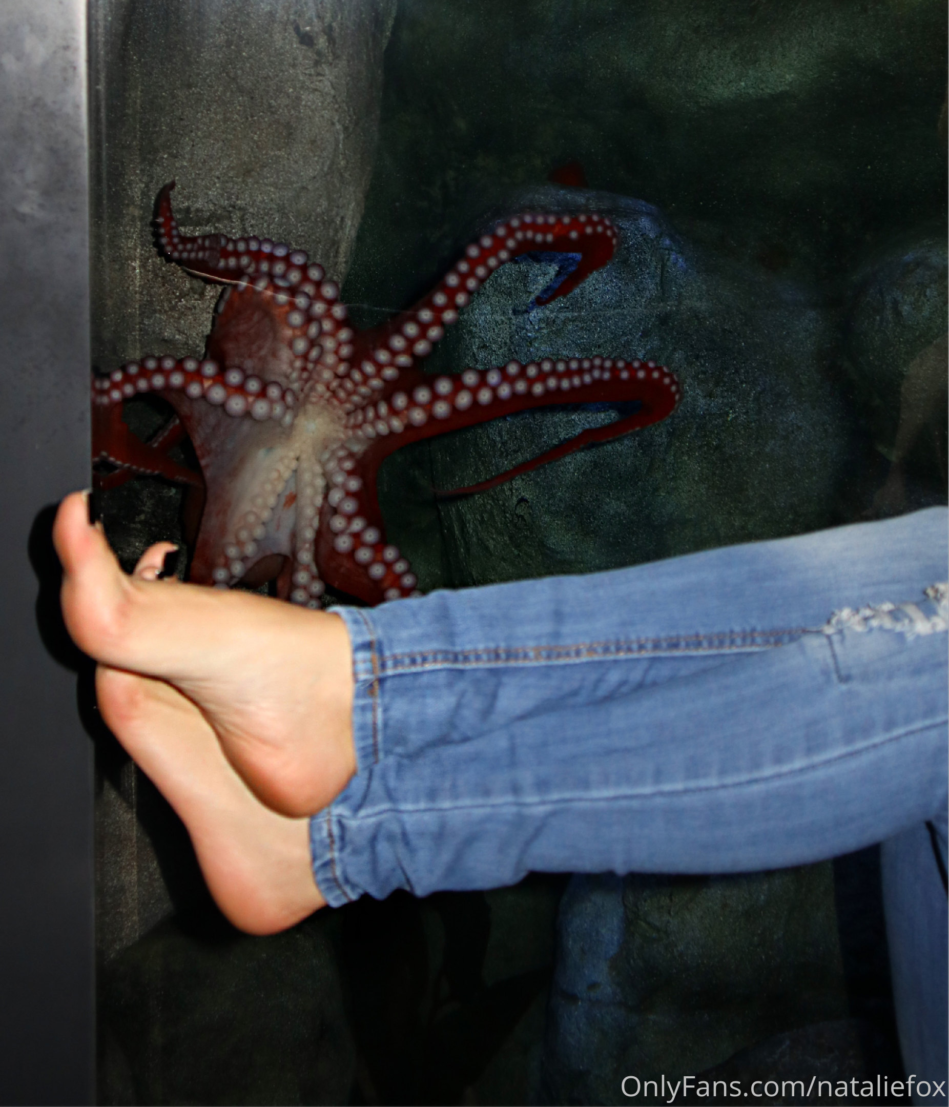 nataliefox feet photo 22