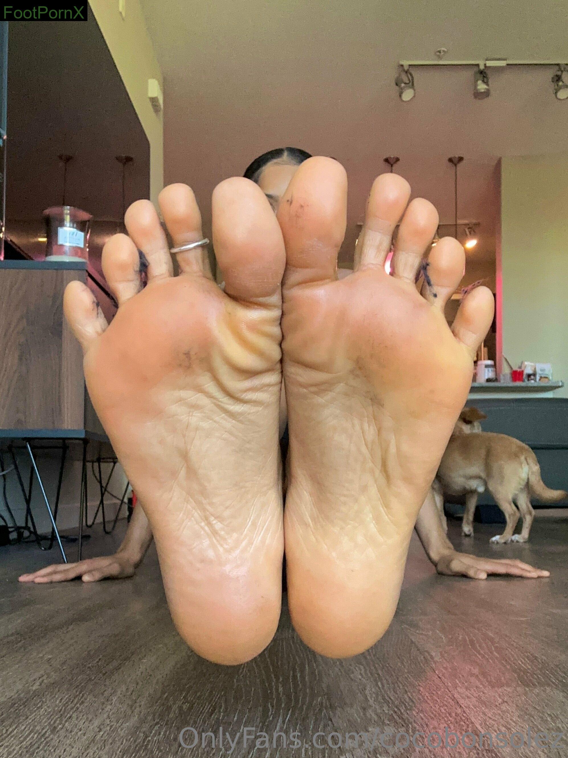 cocobonsolez feet photo 16