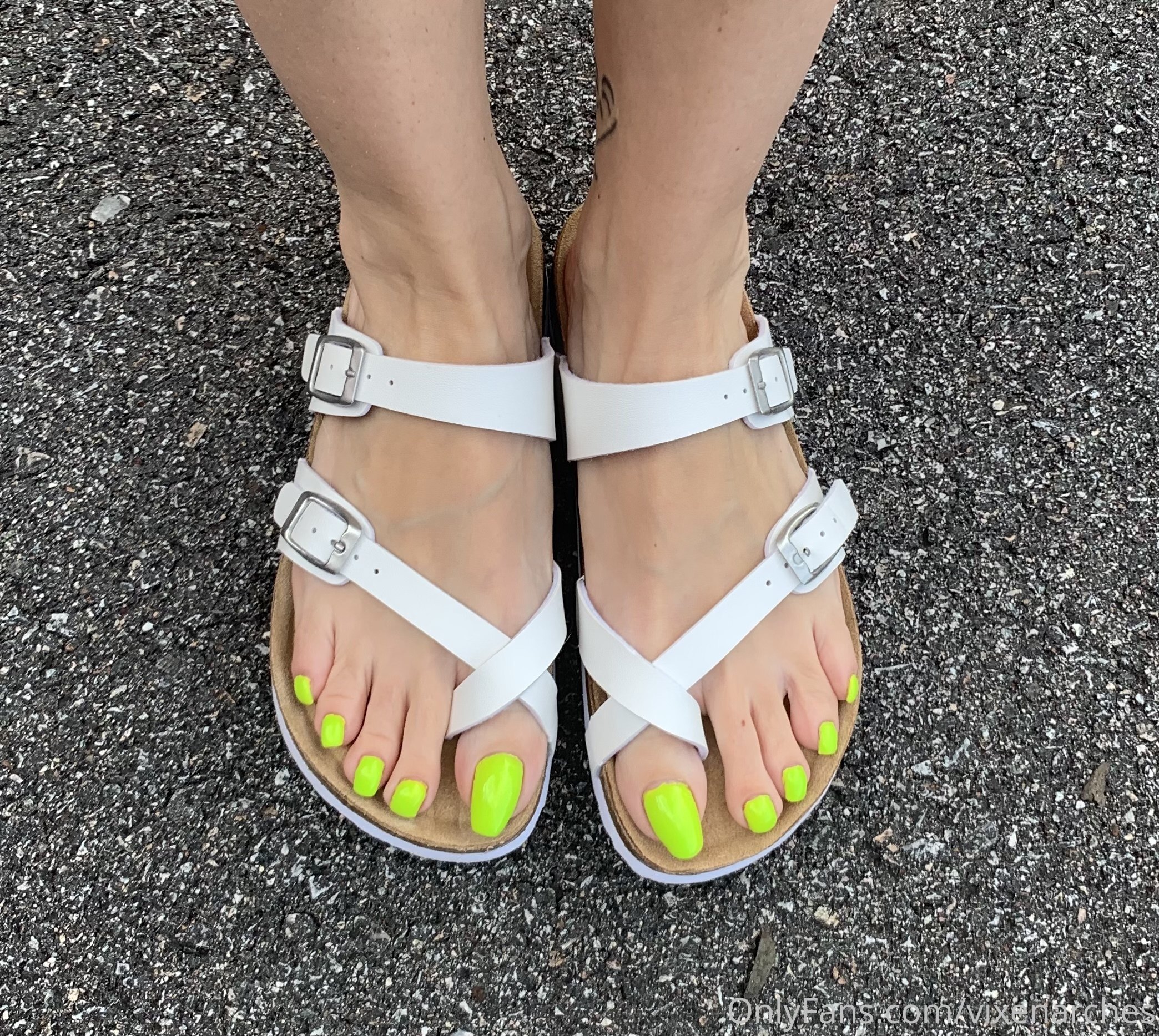 vixenarches feet photo 3