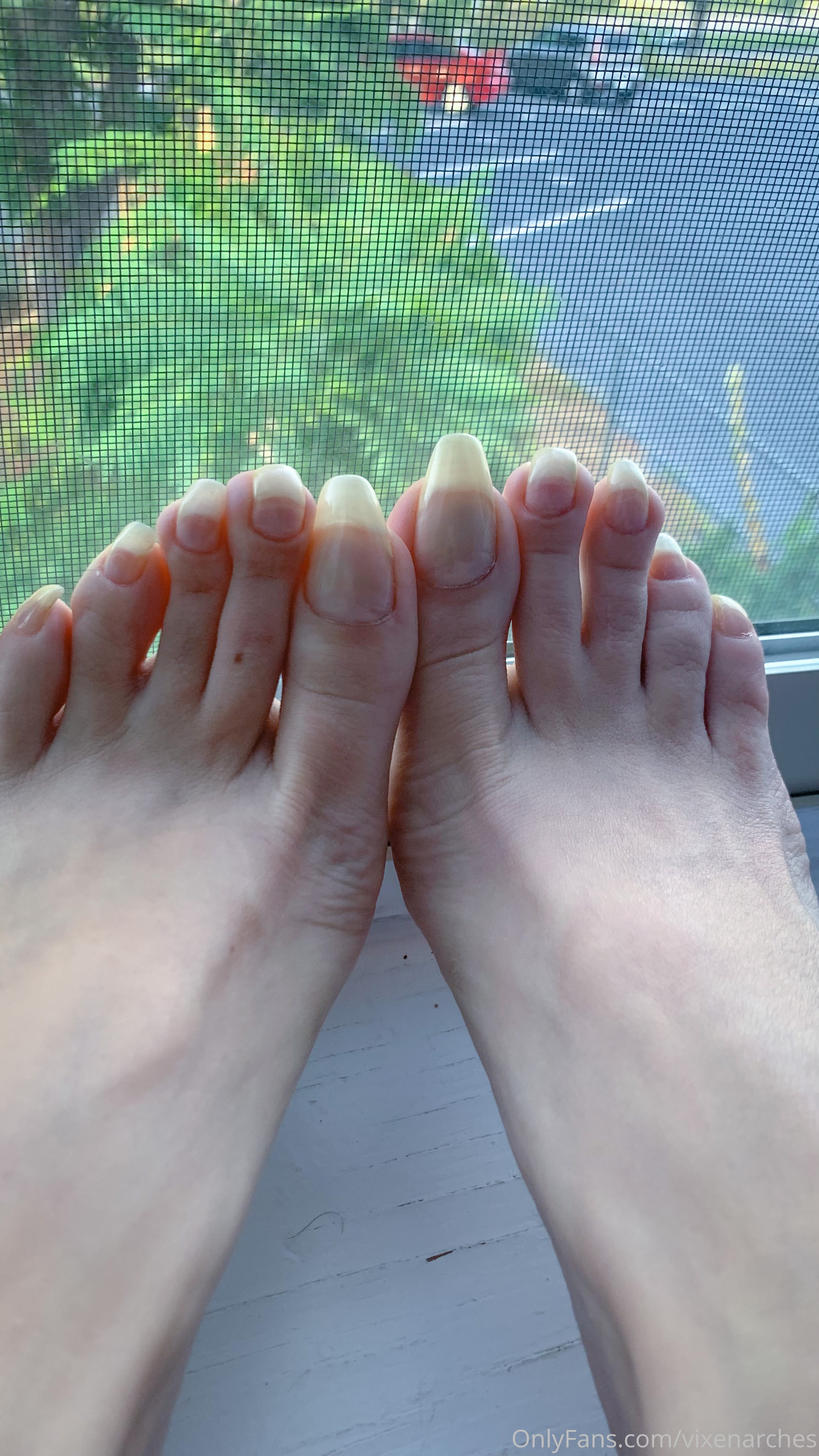 vixenarches feet photo 4