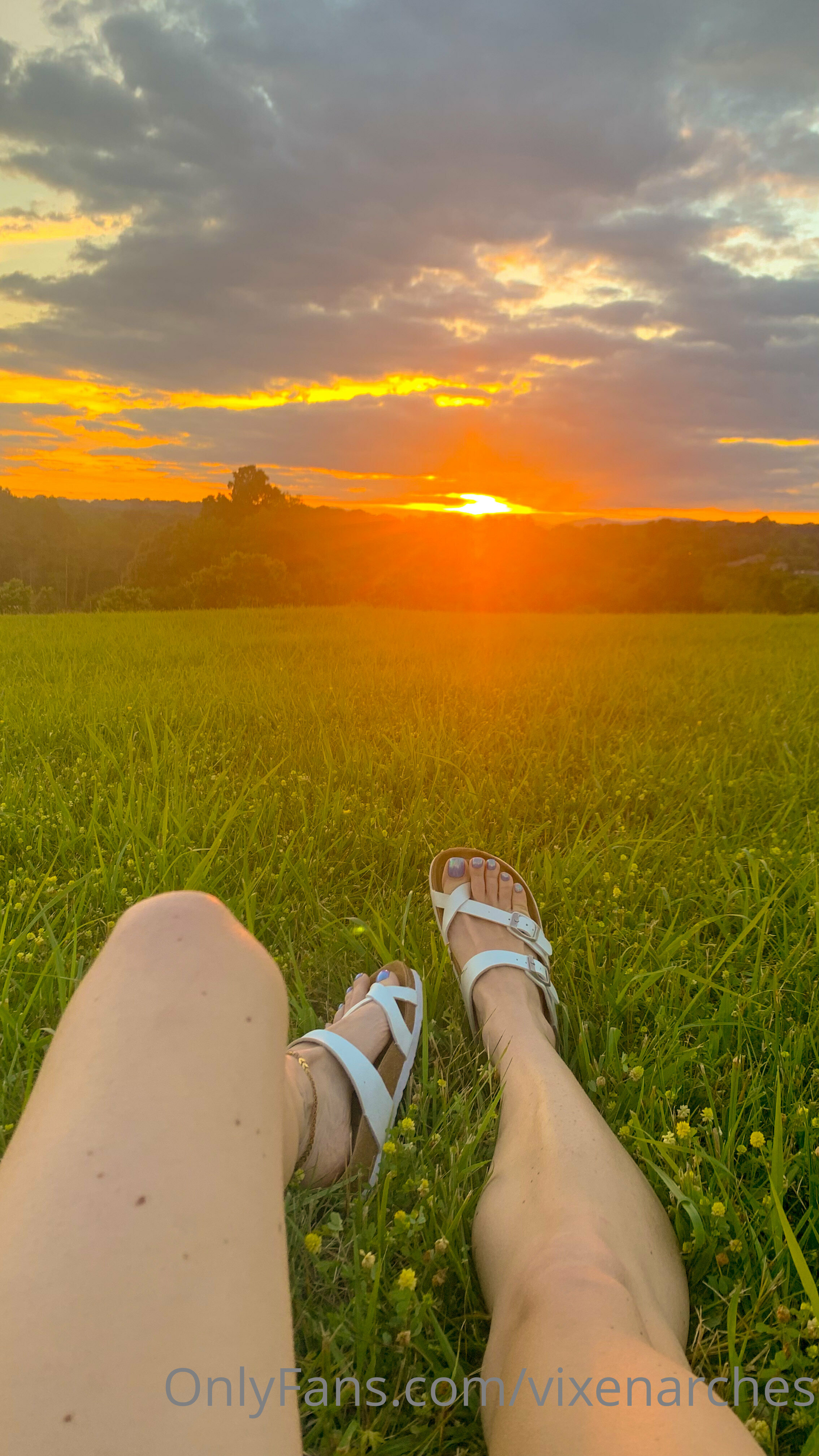 vixenarches feet photo 10