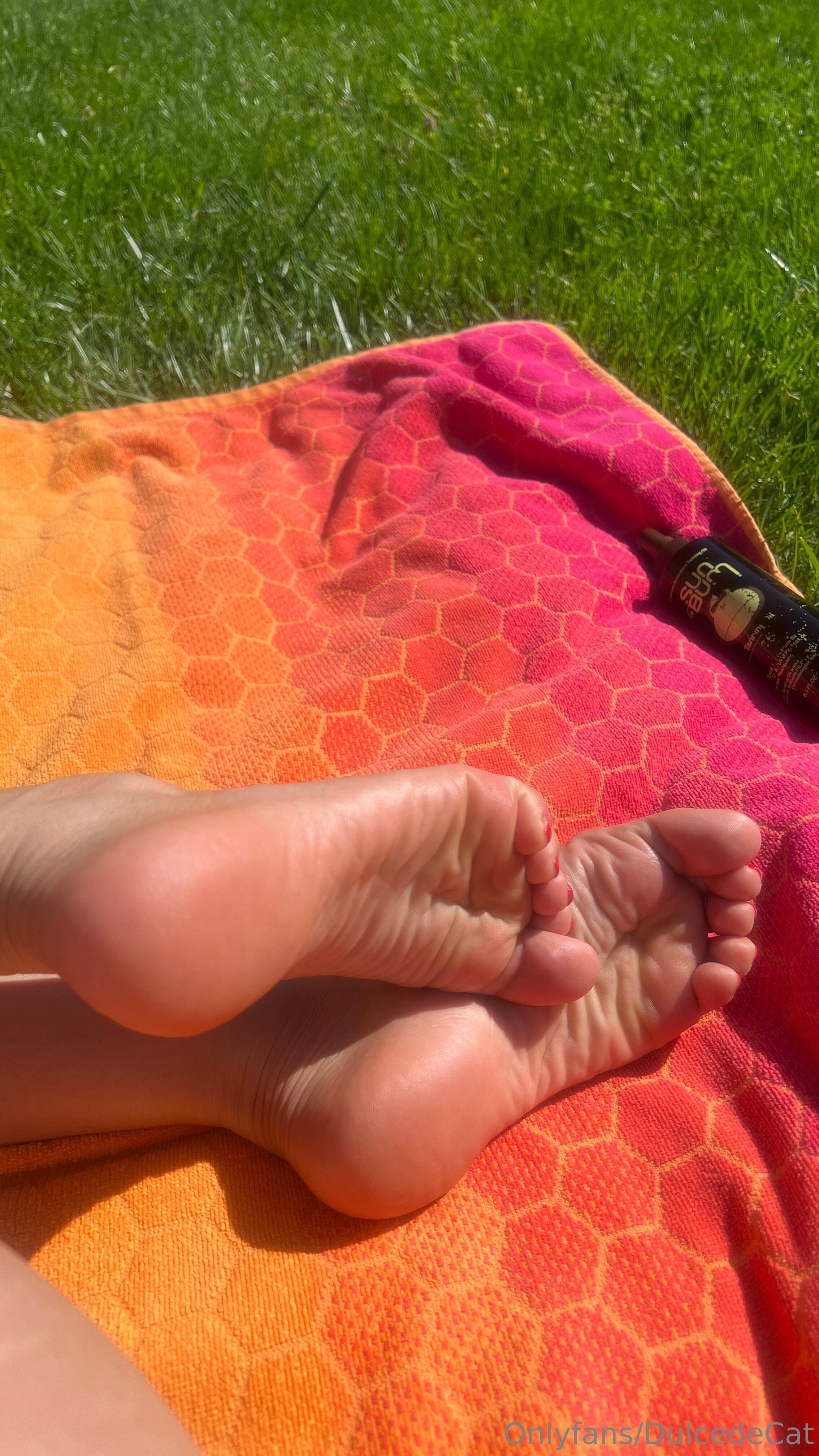 dulcedecat feet photo 8