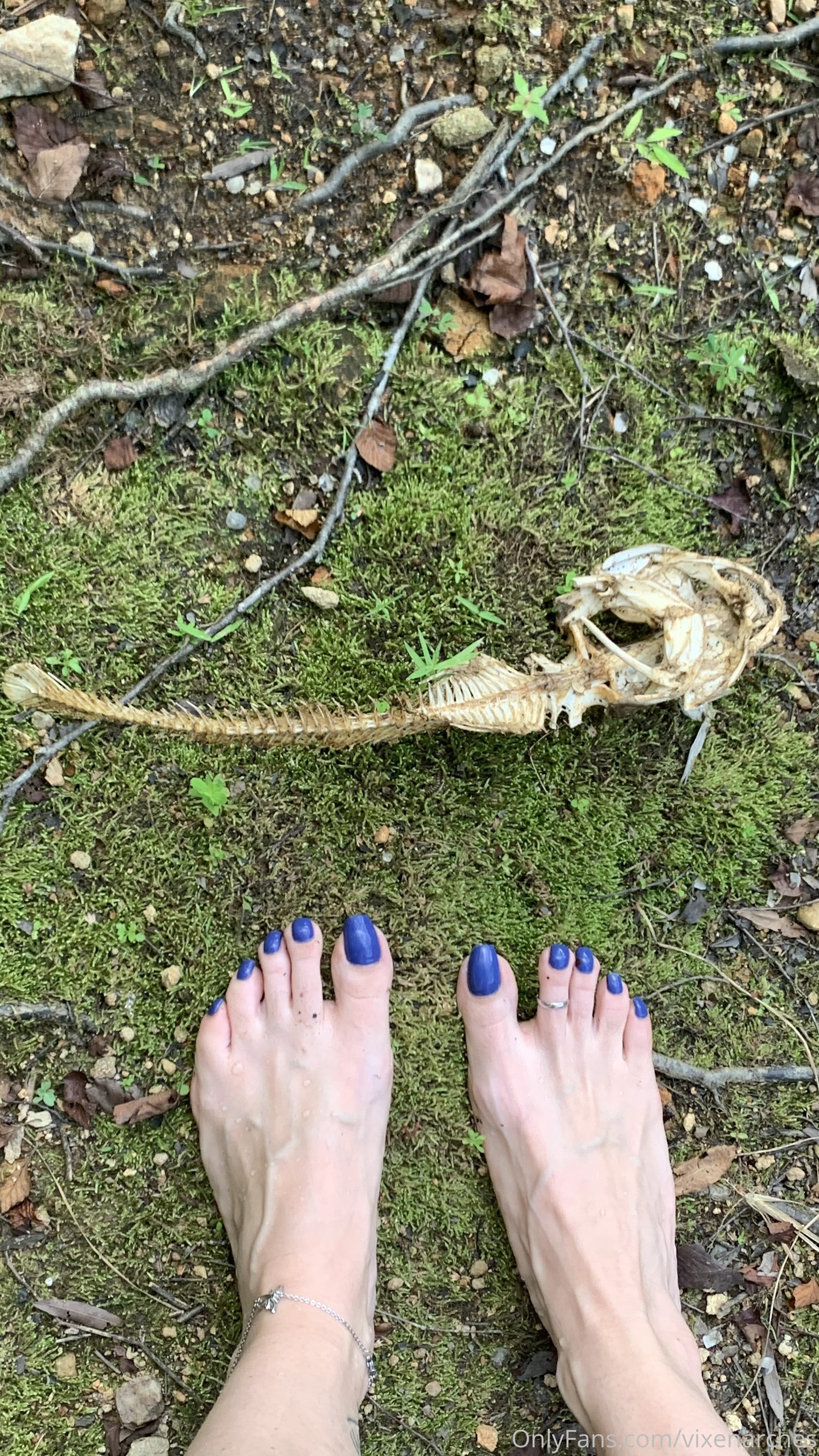 vixenarches feet photo 3