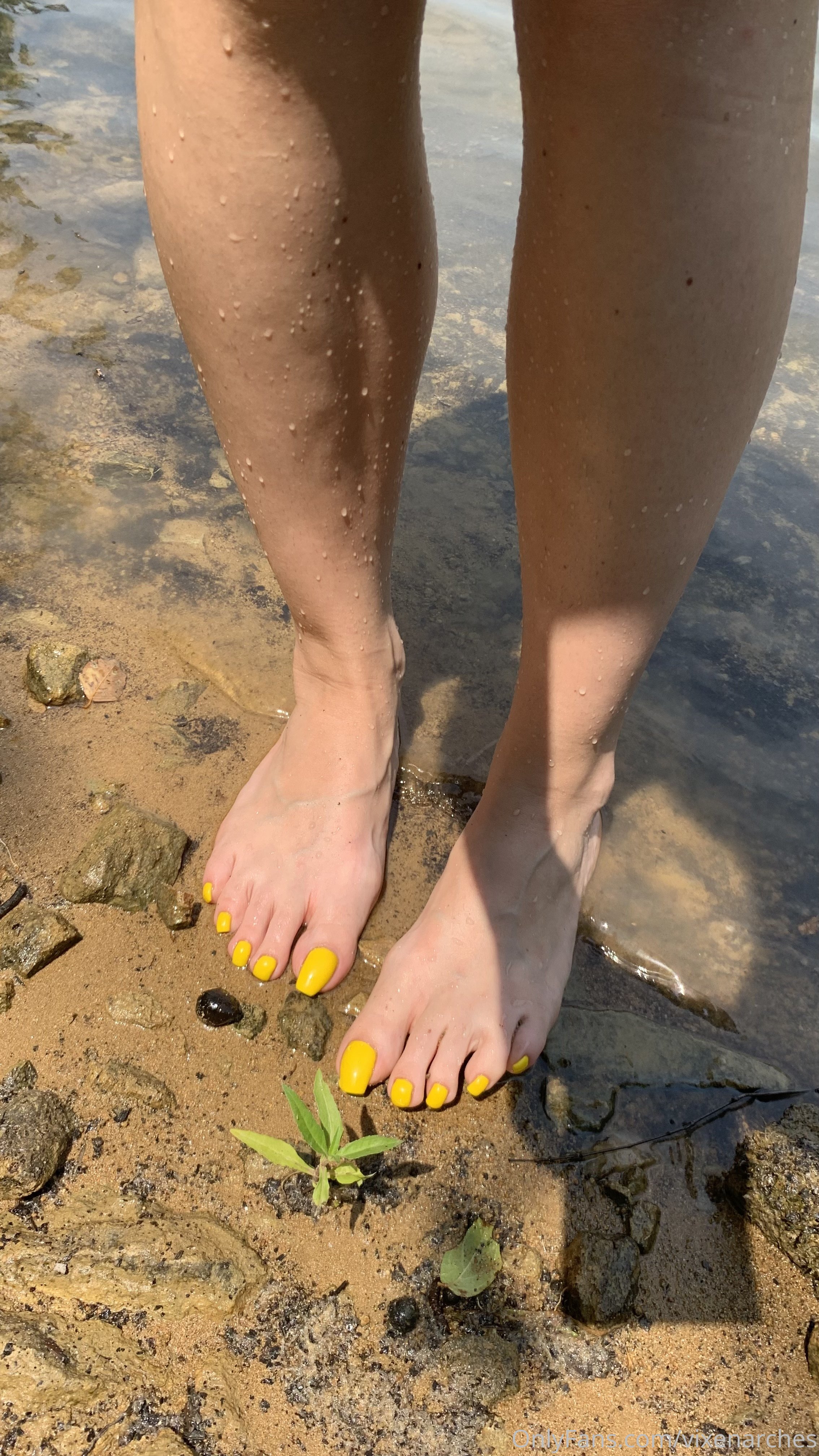 vixenarches feet photo 7