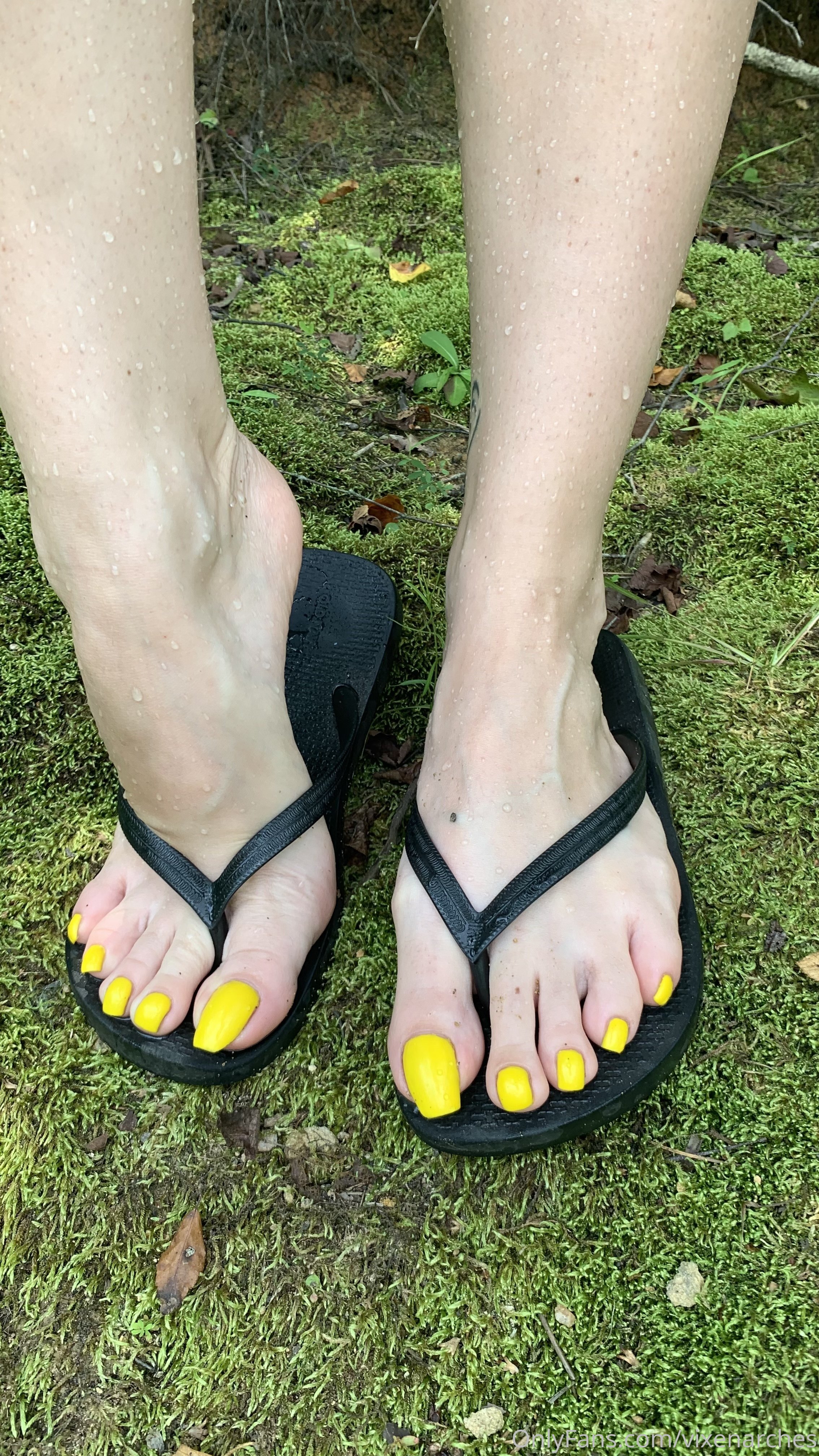 vixenarches feet photo 17