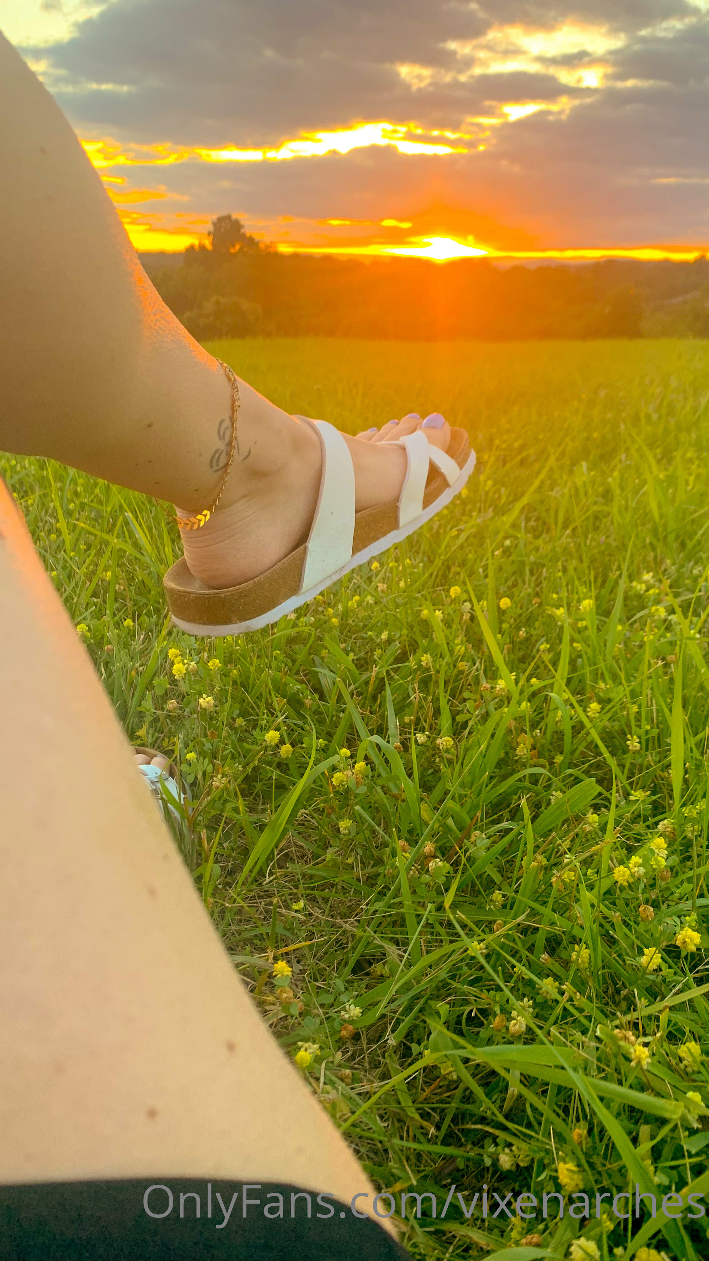 vixenarches feet photo 18