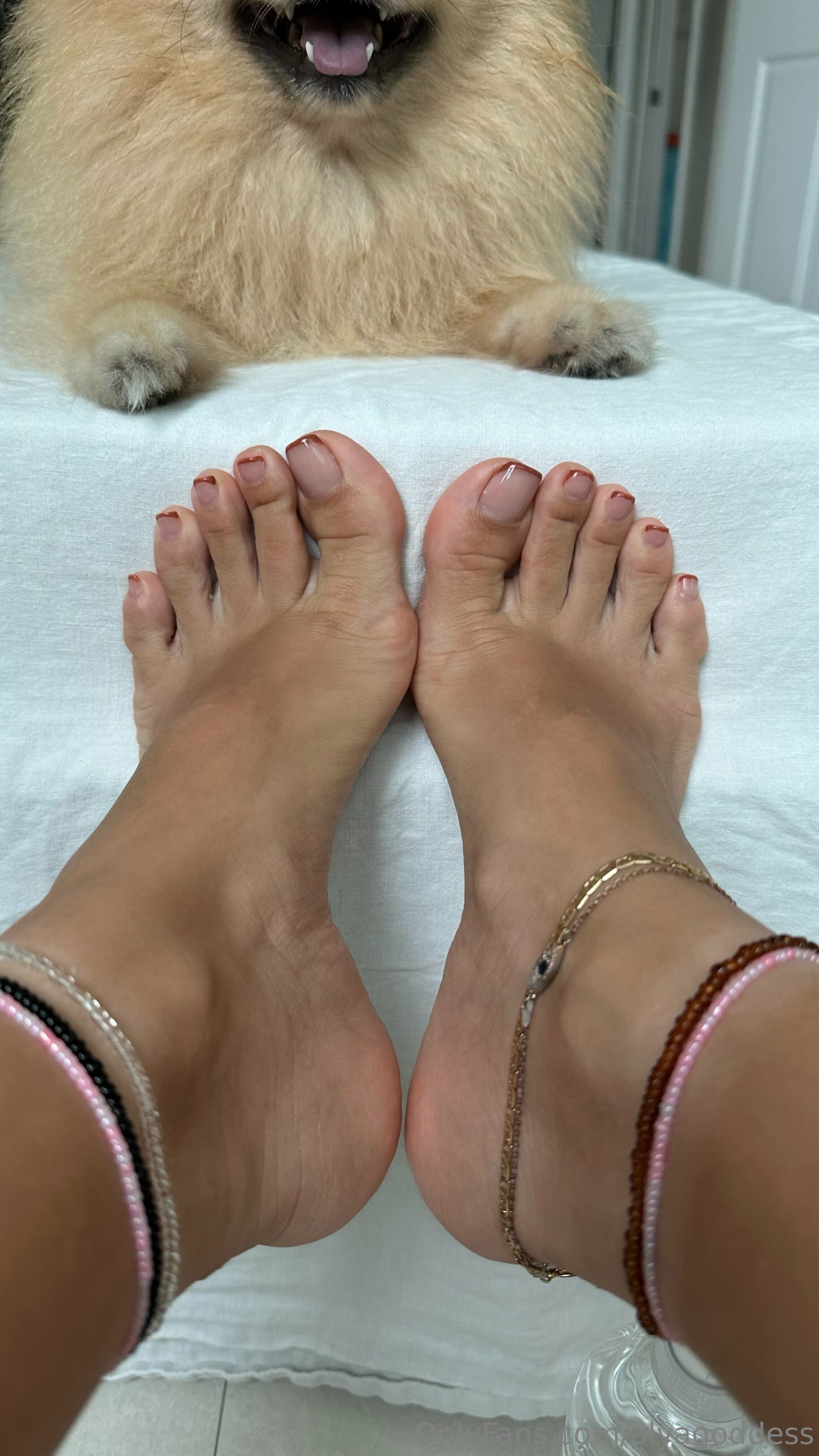 alyagoddess feet photo 17