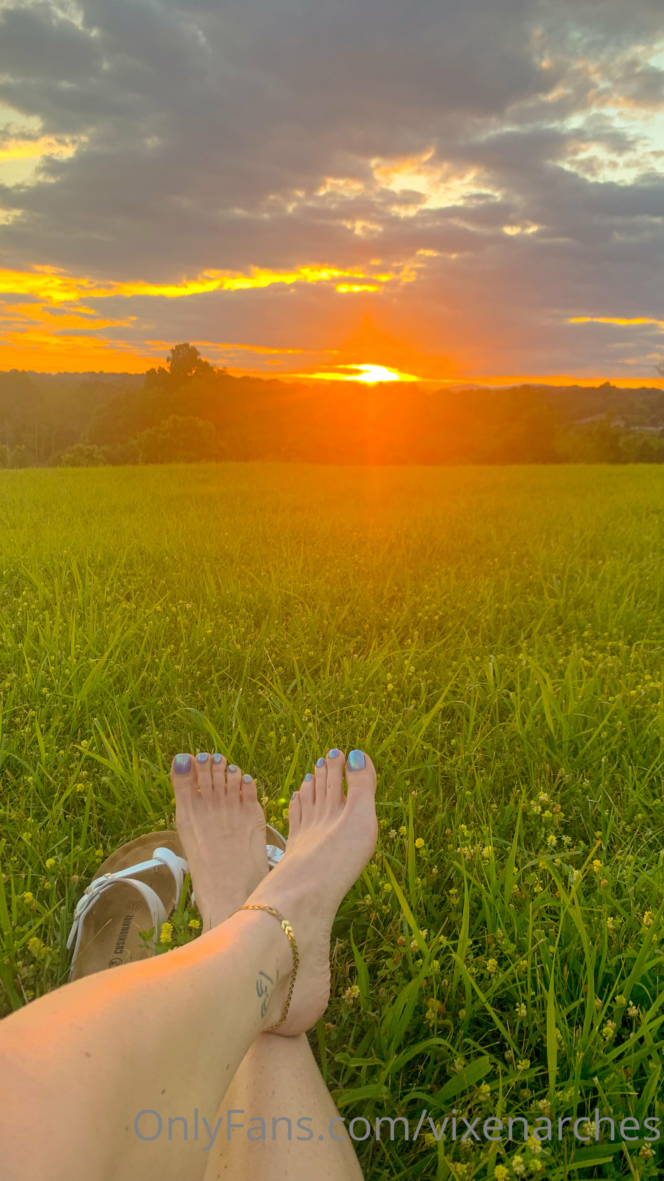 vixenarches feet photo 9