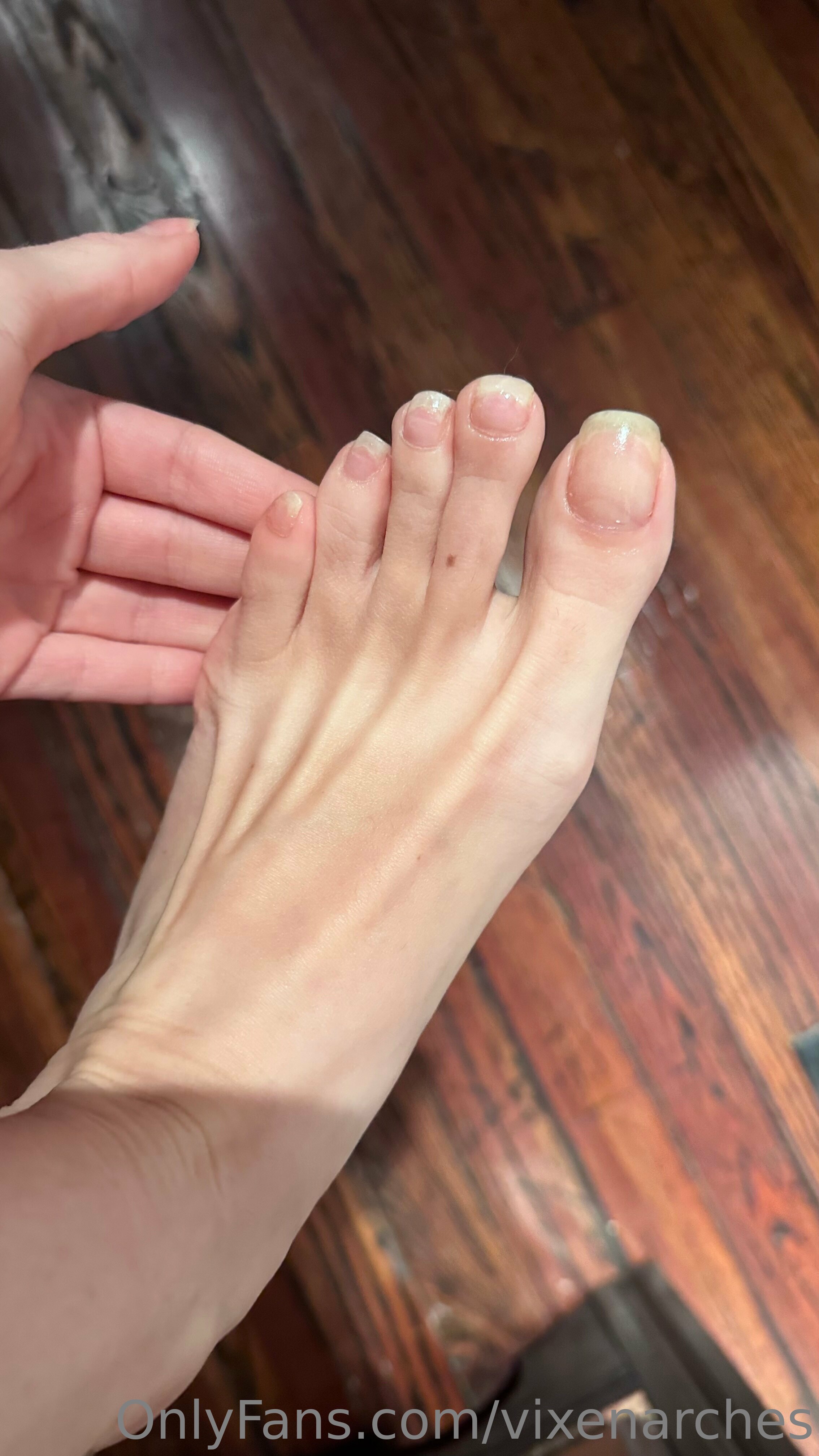 vixenarches feet photo 8