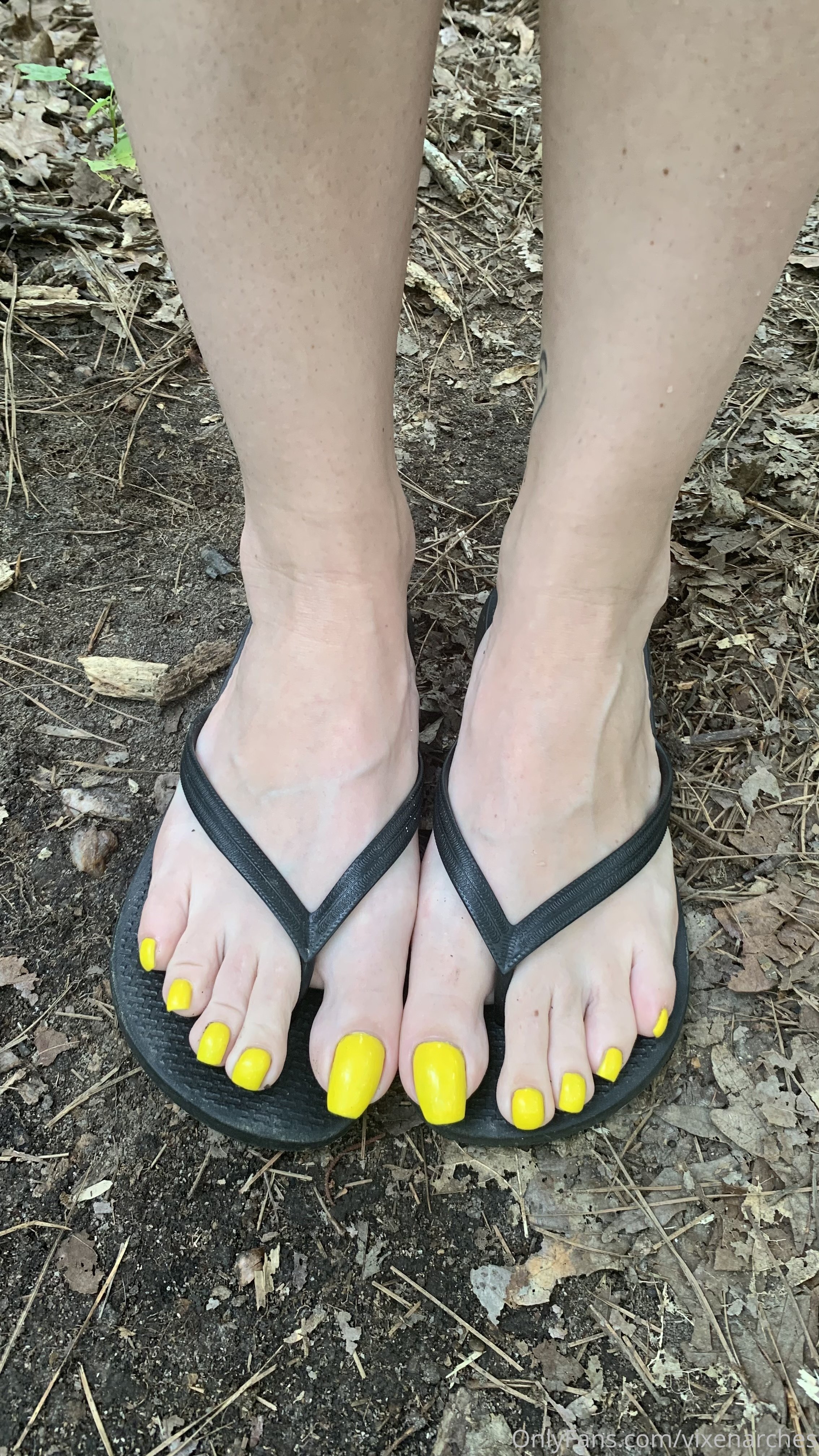 vixenarches feet photo 22