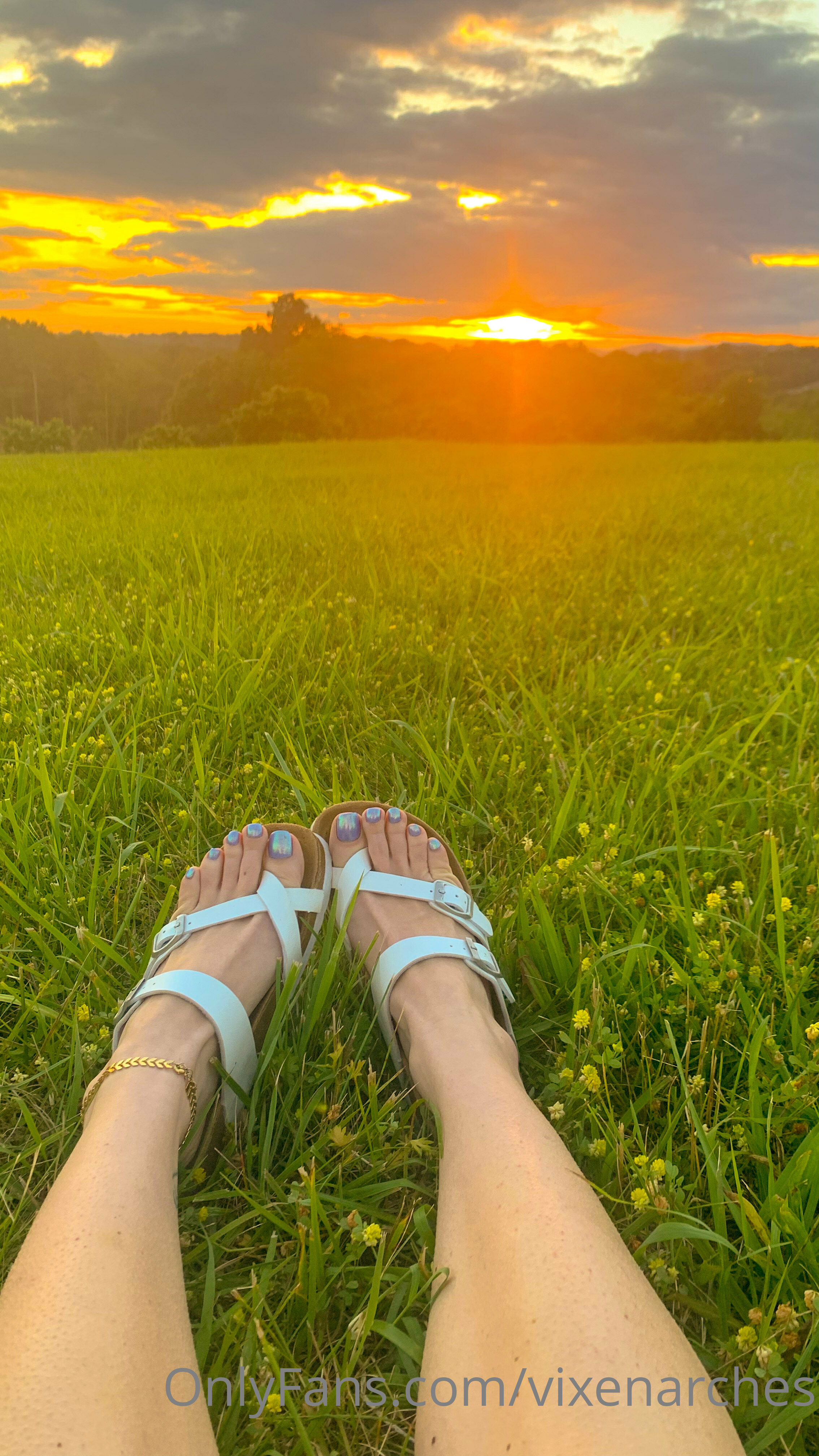 vixenarches feet photo 11