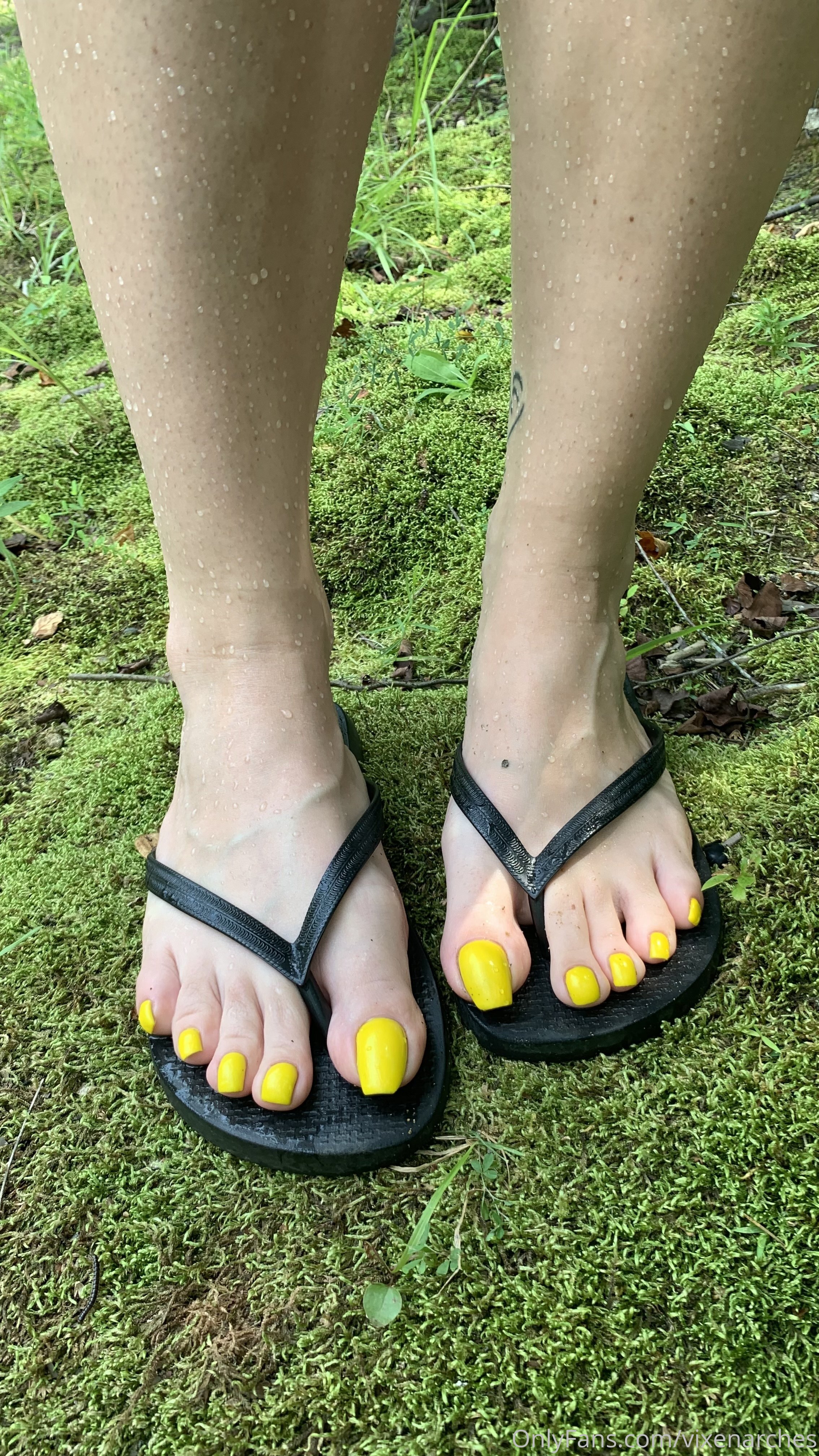 vixenarches feet photo 9