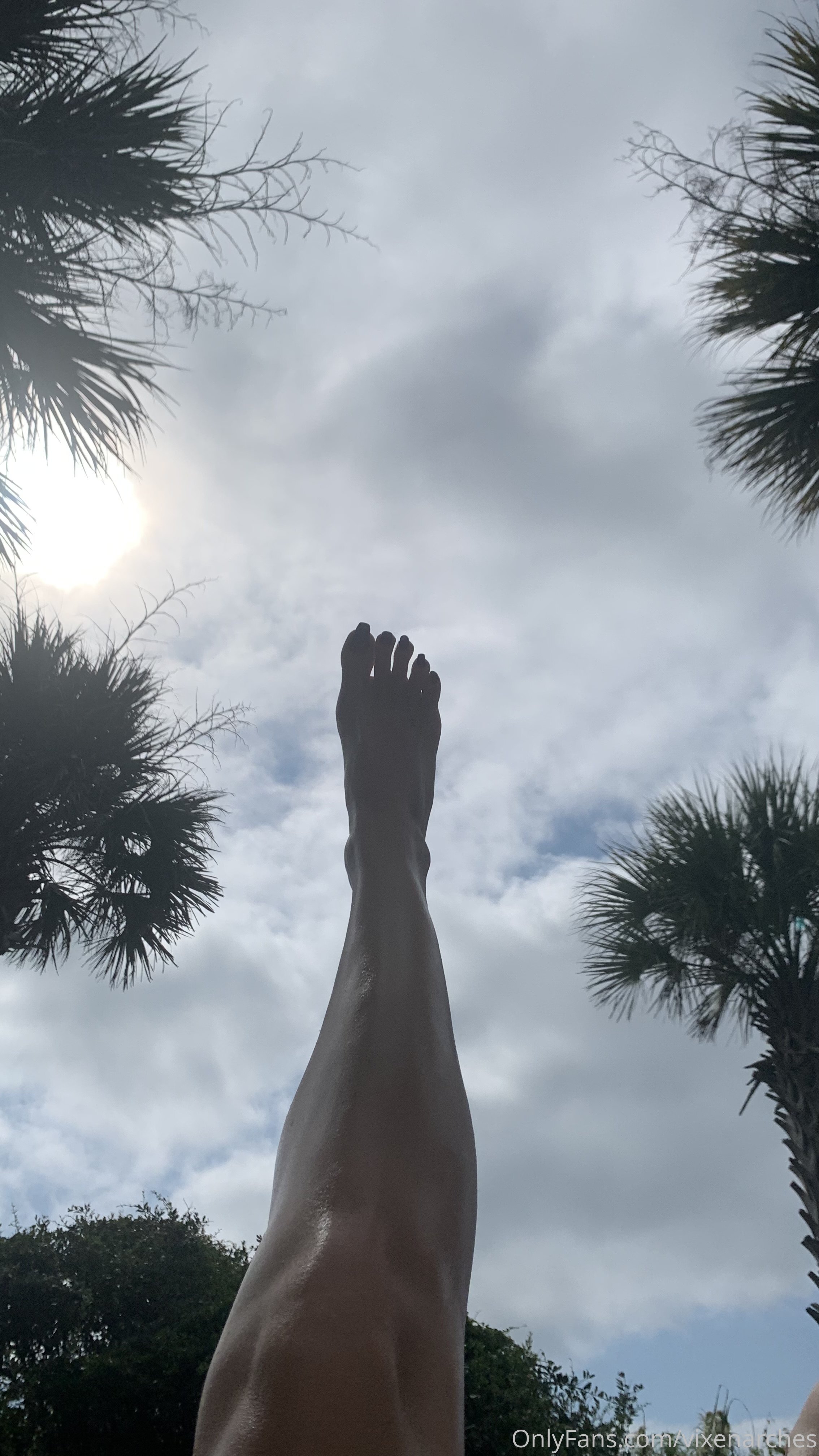 vixenarches feet photo 14