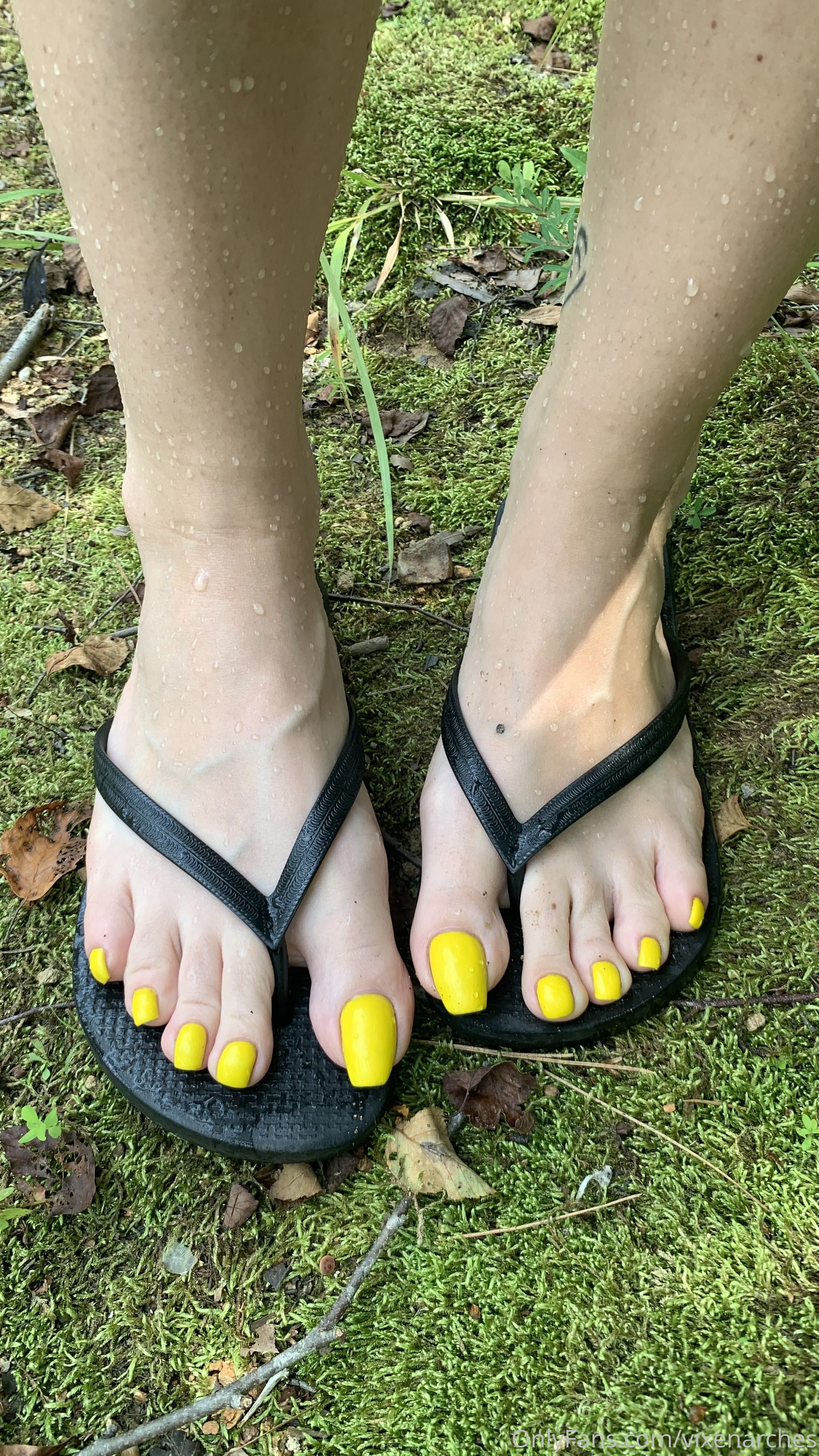 vixenarches feet photo 6